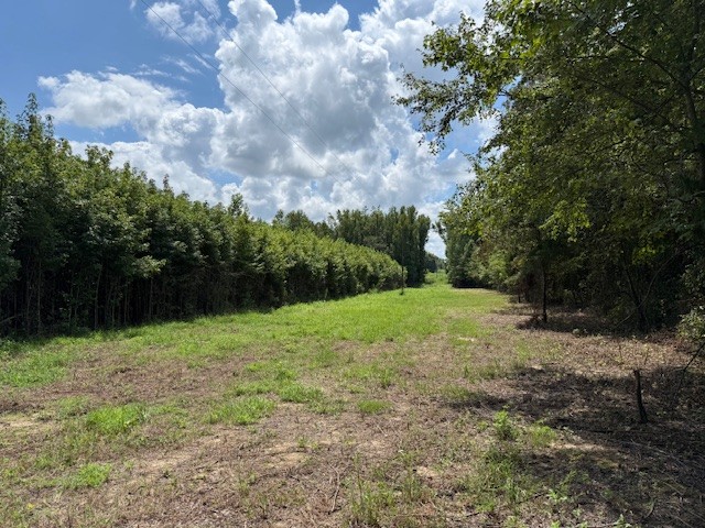 a view of outdoor space with green space