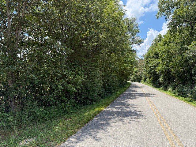 6502 Summitville Road Morrison, TN 37357 - Photo 3 of 4 a view of a street with a trees all around