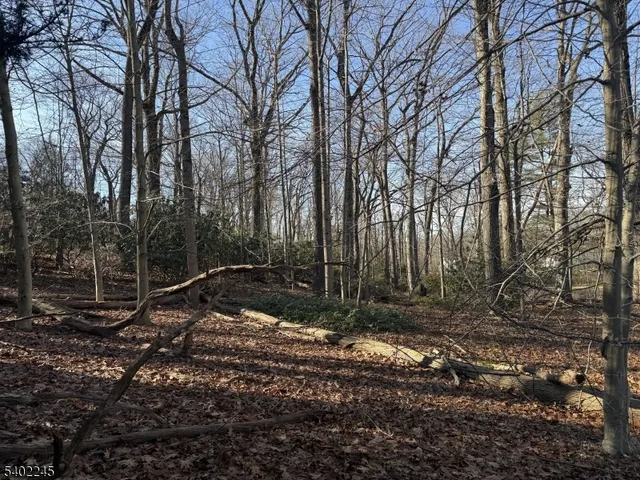 $849,000 | 6 Dogwood Way, Bernards, NJ 07920