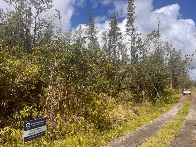 a backyard of a house with large trees