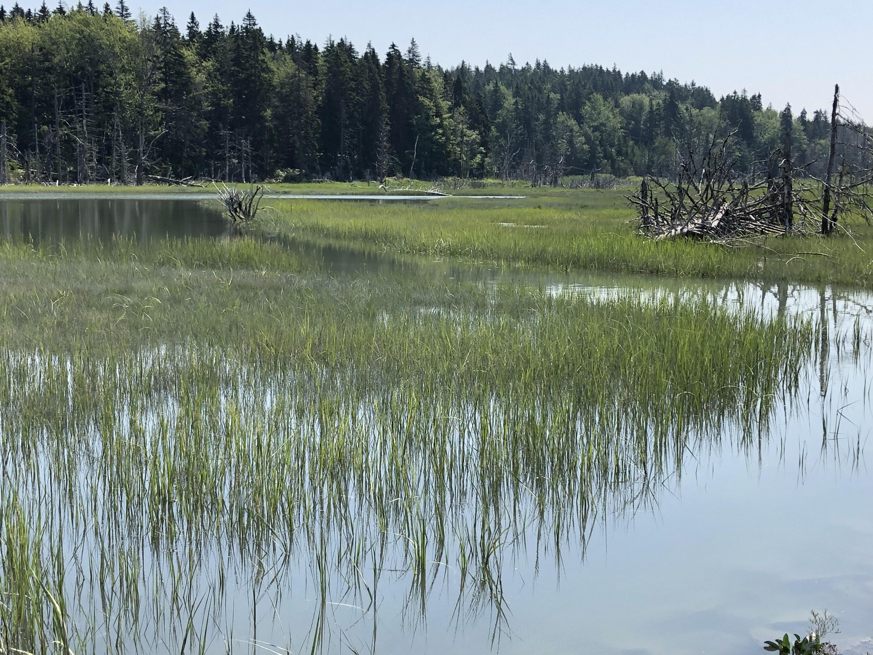 265 North Haven Road Vinalhaven, ME 04863 - Photo 1 of 33 IMG_5512