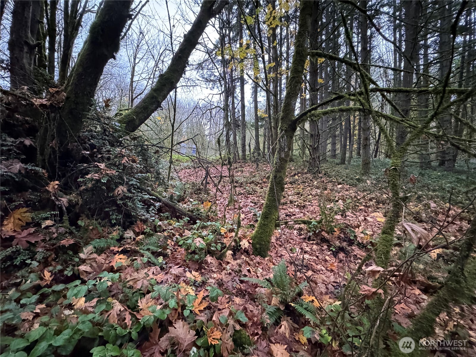 0 Northeast Koura Road Bainbridge Island, WA 98110 - Photo 1 of 1 Gallery Image 1