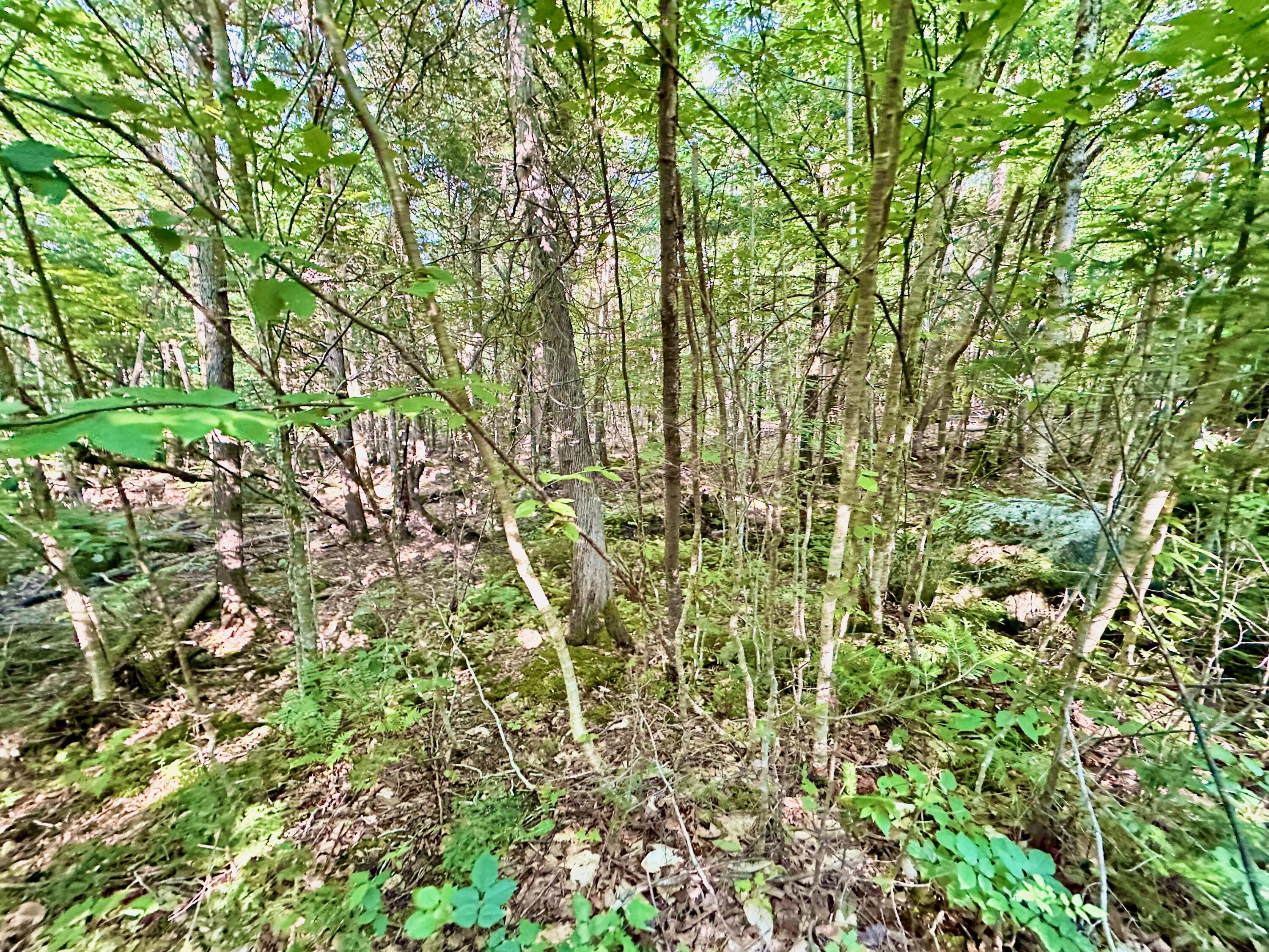89 Poplar Point Road Mount Vernon, ME 04352 - Photo 35 of 113 IMG_5641