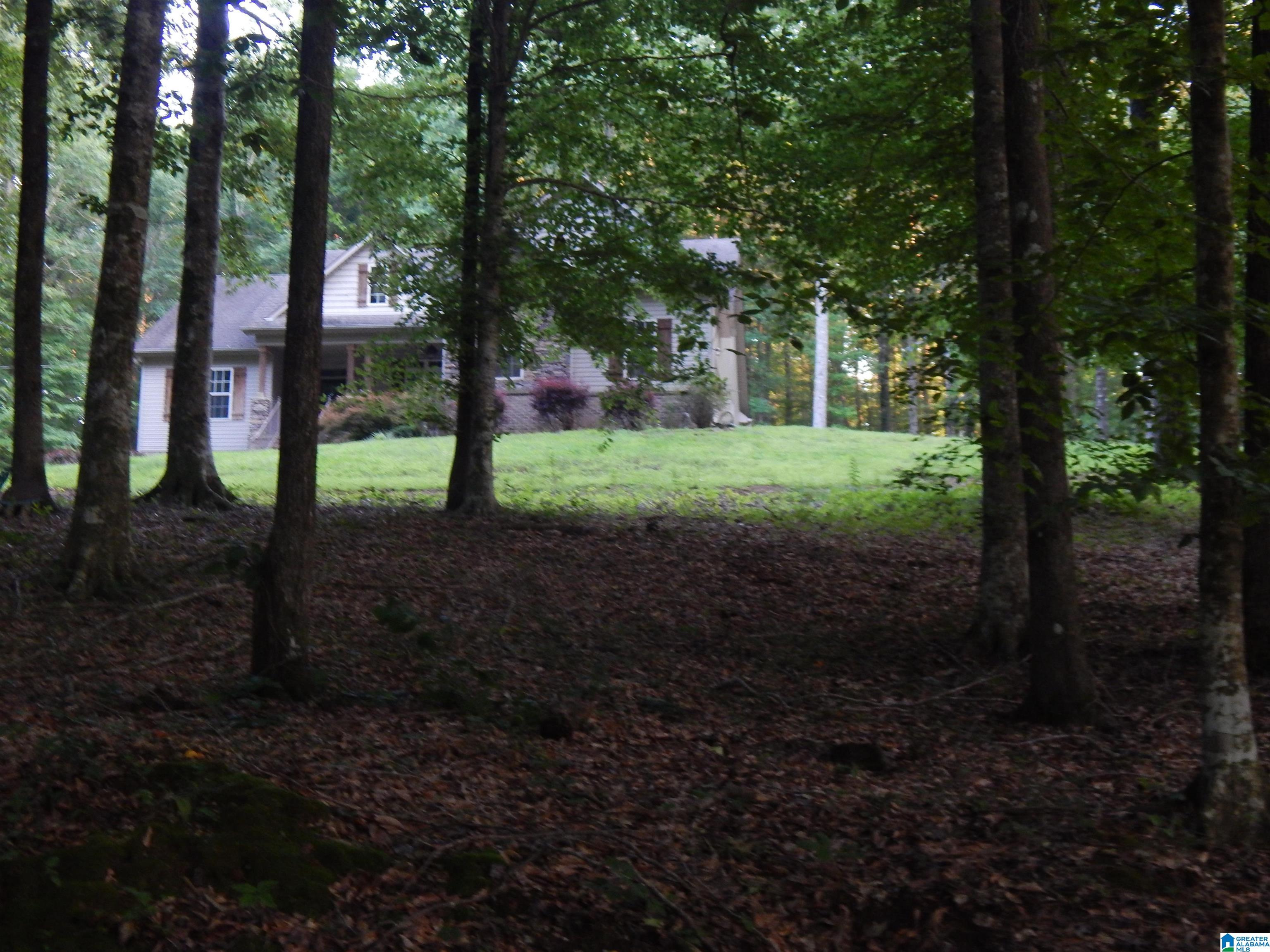 385 Raywood Drive Woodstock, AL 35188 - Photo 23 of 27