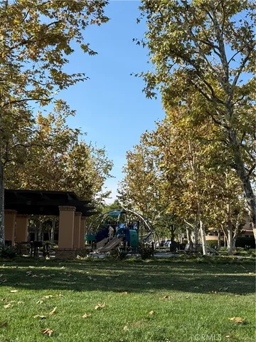 a view of a park that has large trees