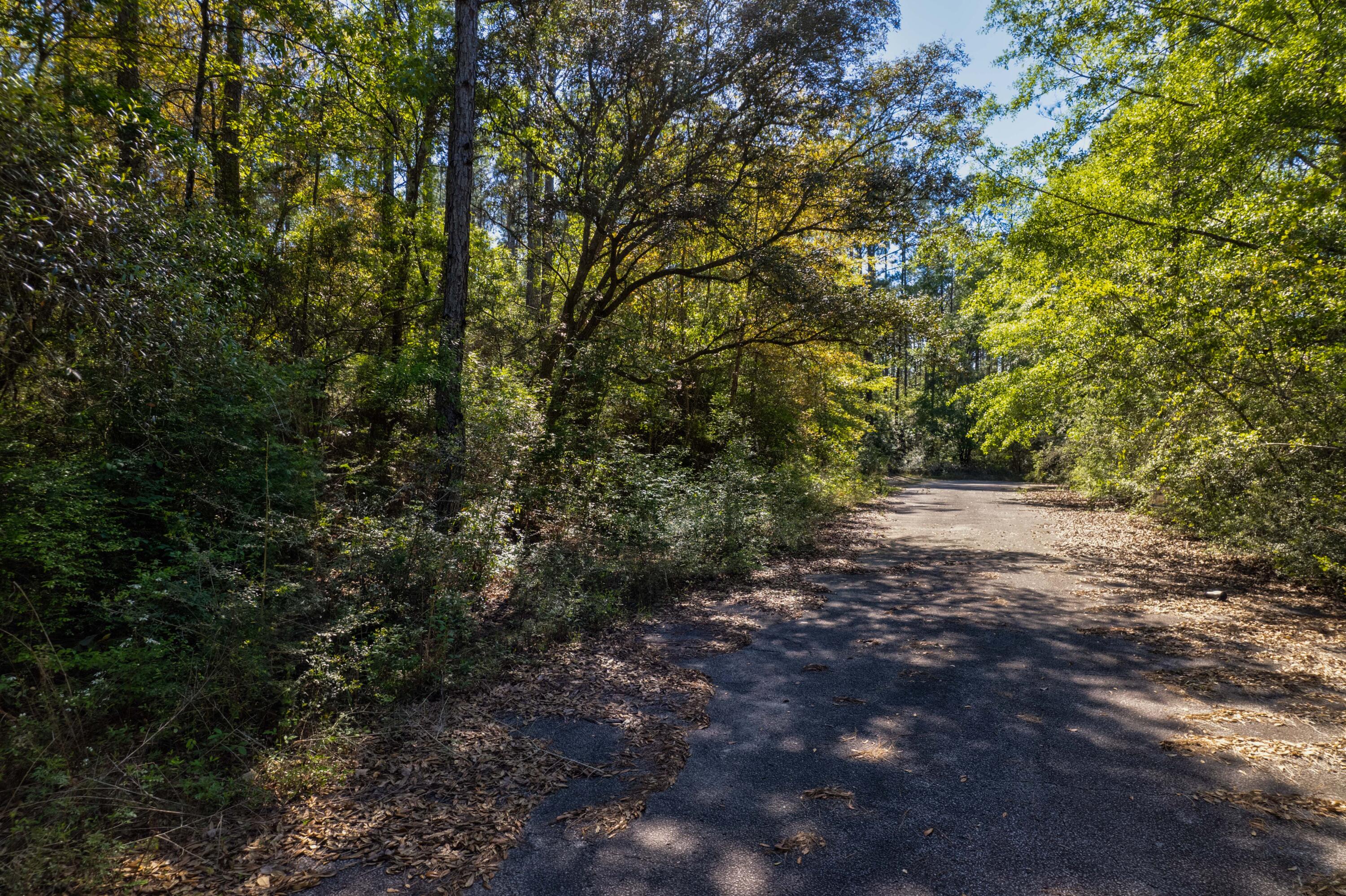 4.12-acres Main Drive Crestview, FL 32539 - Photo 1 of 15 a view of outdoor space and trees