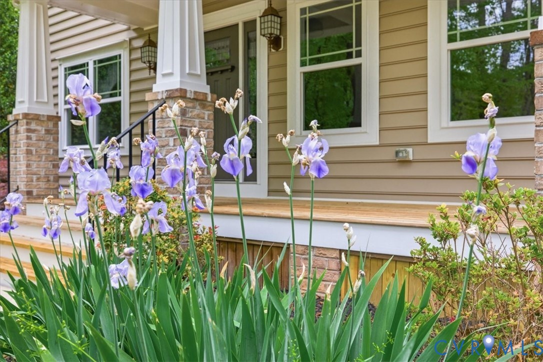 12401 Duntrune Court Chesterfield, VA 23838 - Photo 4 of 8 You will look forward to the spring-blooming iris