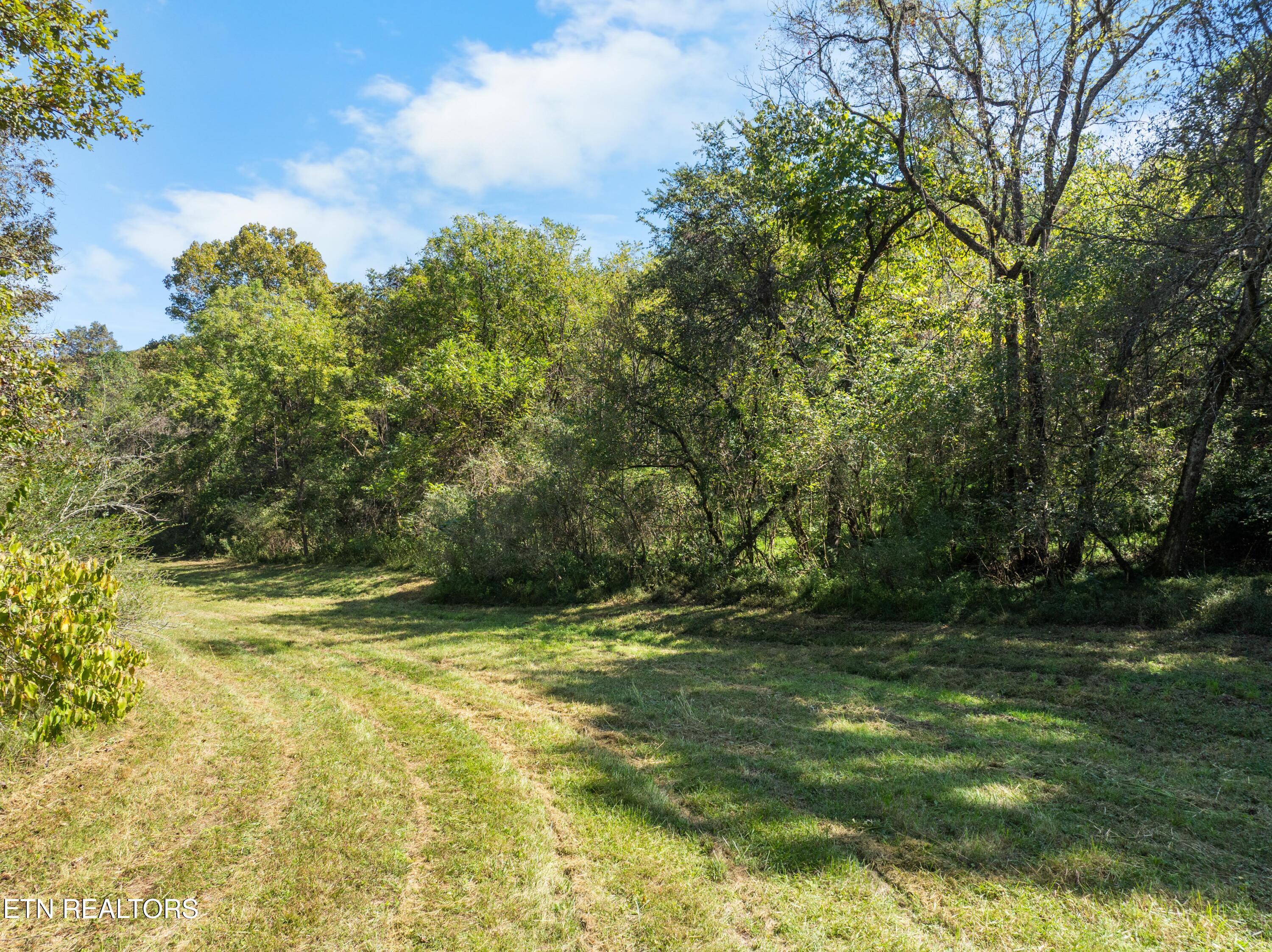 100 French Road Knoxville, TN 37920 - Photo 11 of 51 DJI_0811