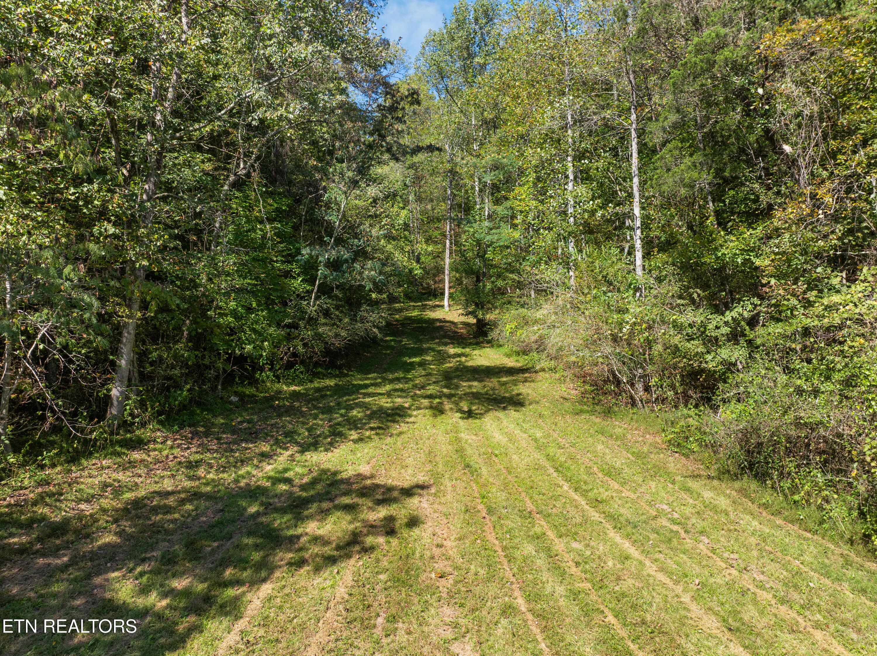 100 French Road Knoxville, TN 37920 - Photo 12 of 51 DJI_0739