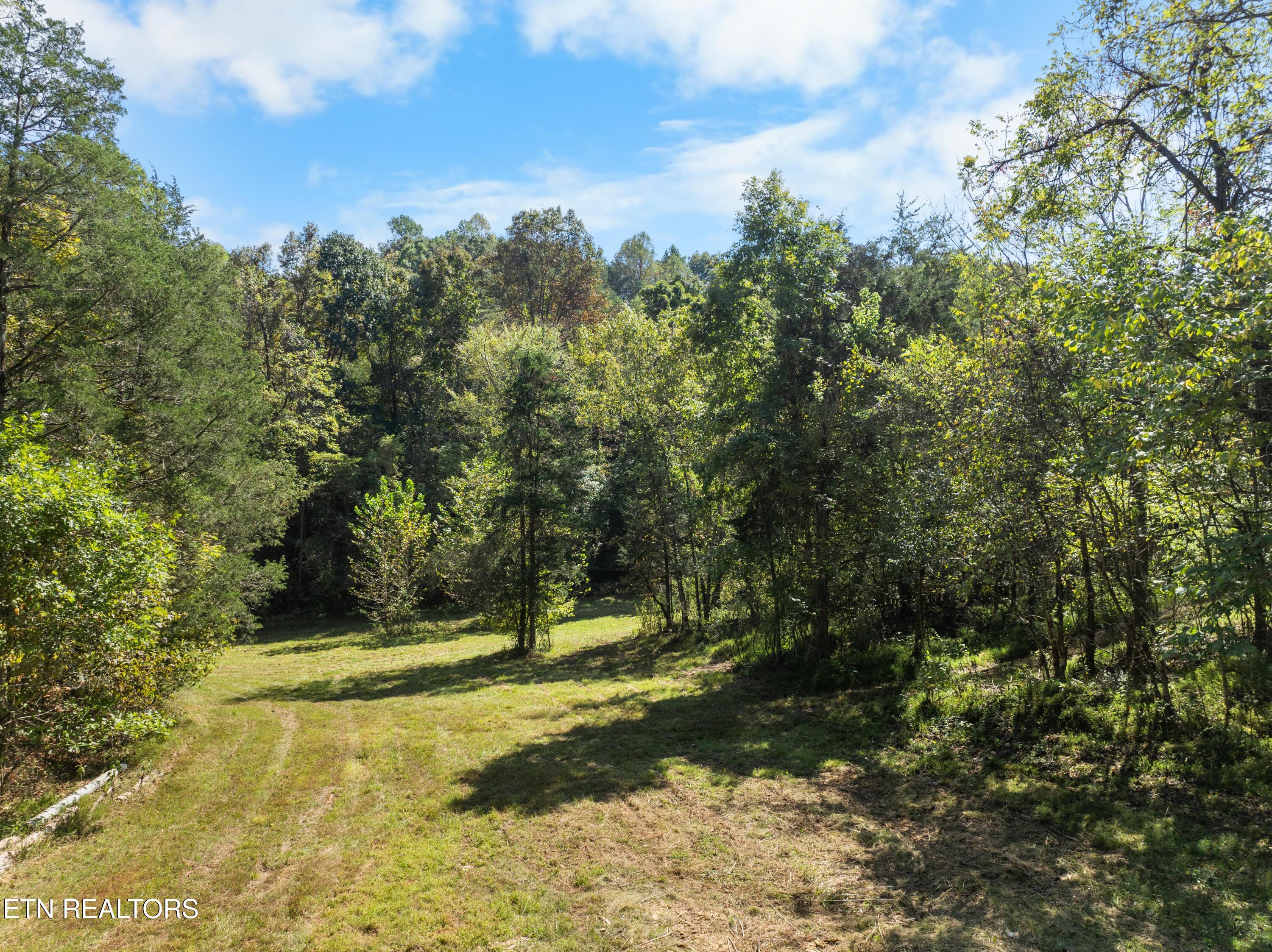 100 French Road Knoxville, TN 37920 - Photo 13 of 51 DJI_0746