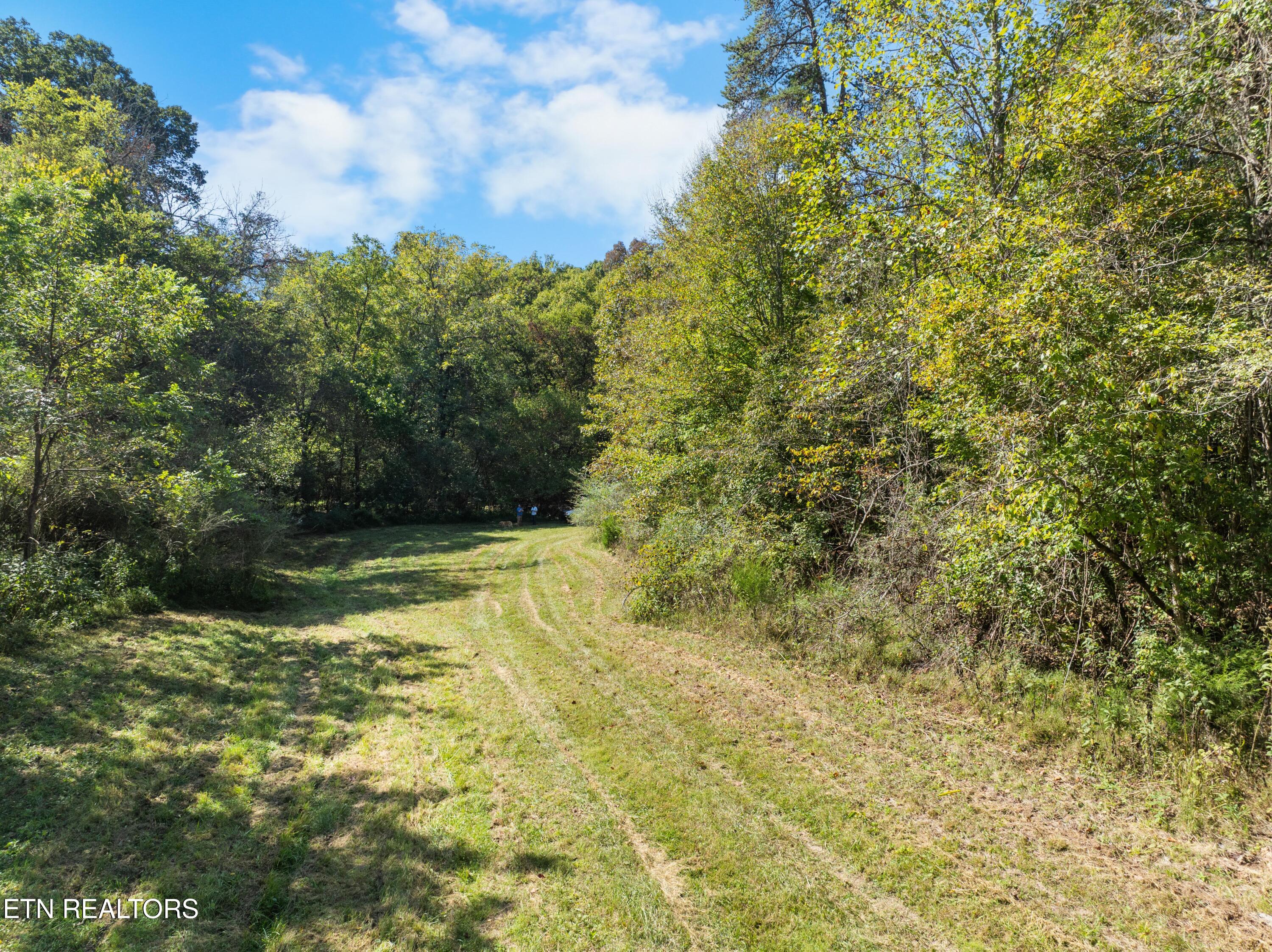 100 French Road Knoxville, TN 37920 - Photo 14 of 51 DJI_0816