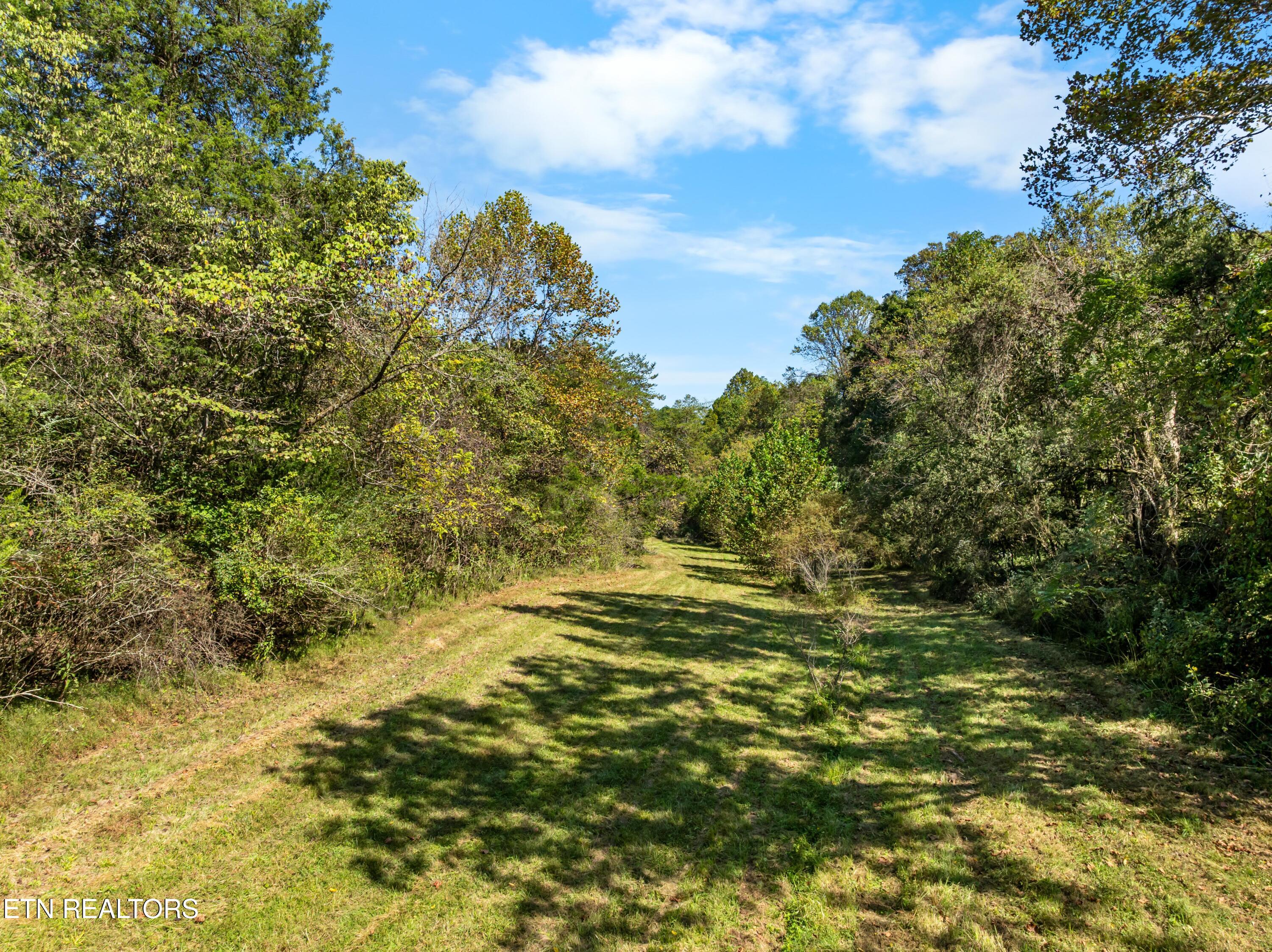 100 French Road Knoxville, TN 37920 - Photo 15 of 51 DJI_0819