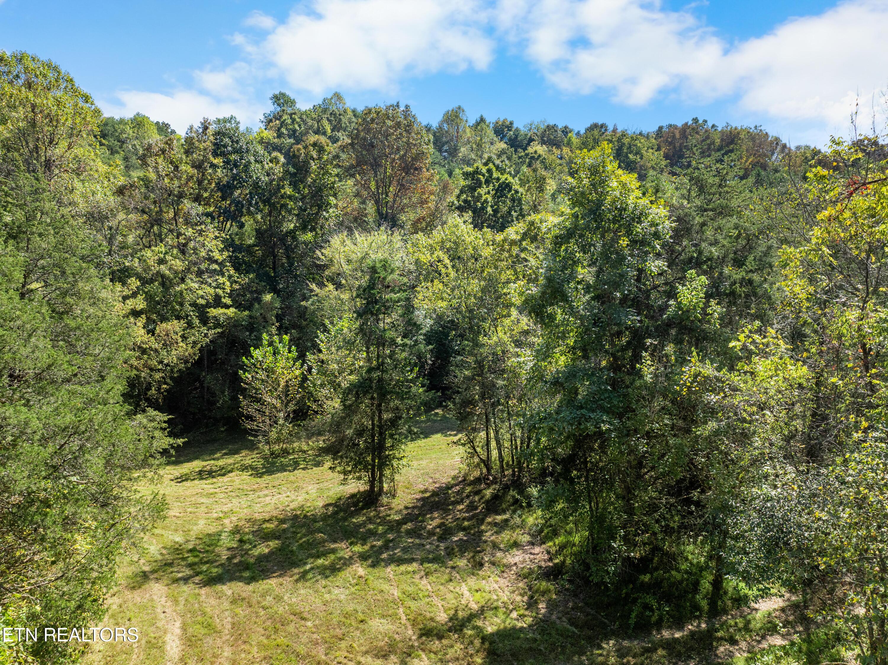 100 French Road Knoxville, TN 37920 - Photo 16 of 51 DJI_0736