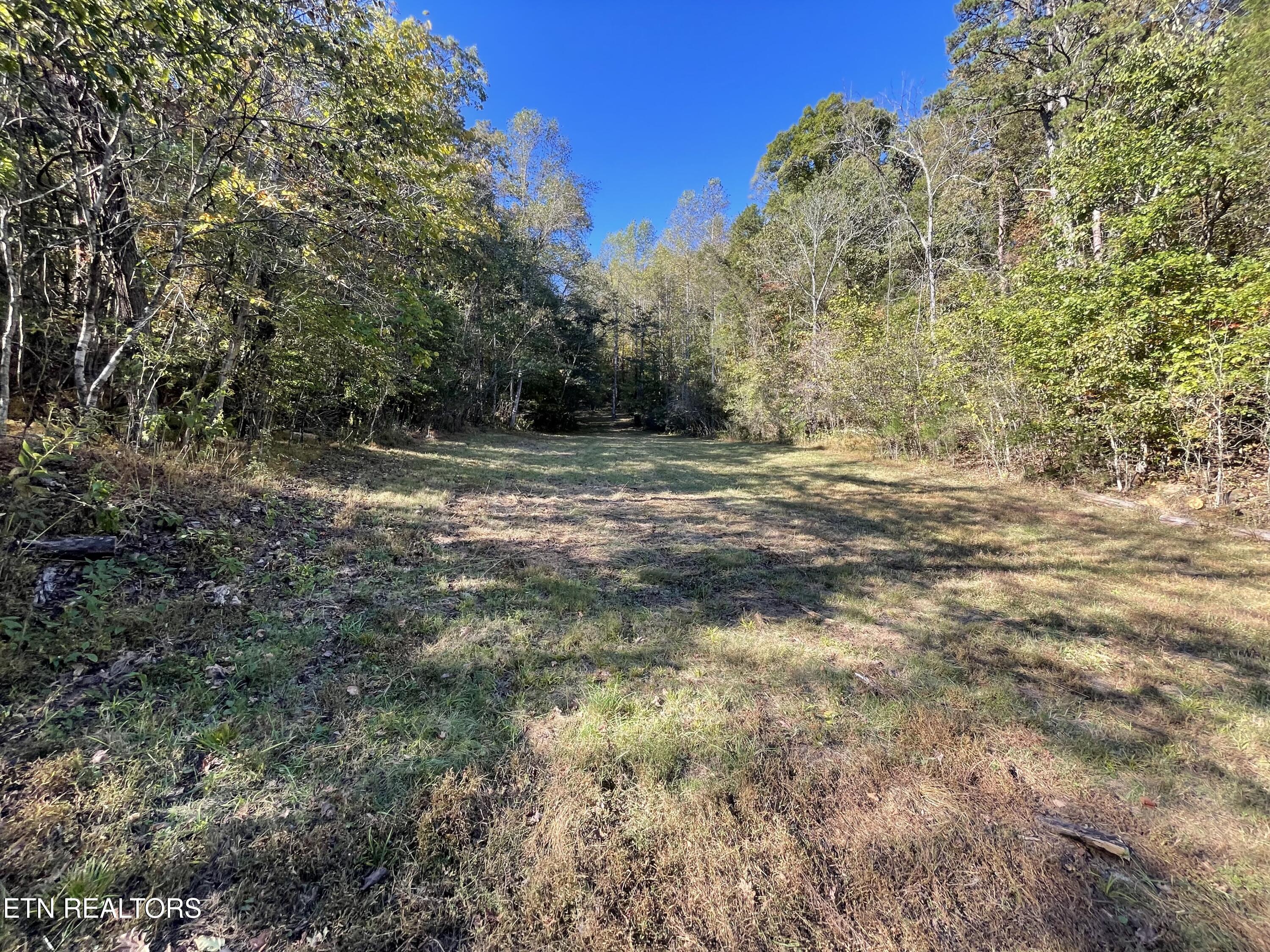 100 French Road Knoxville, TN 37920 - Photo 17 of 51 IMG_5975