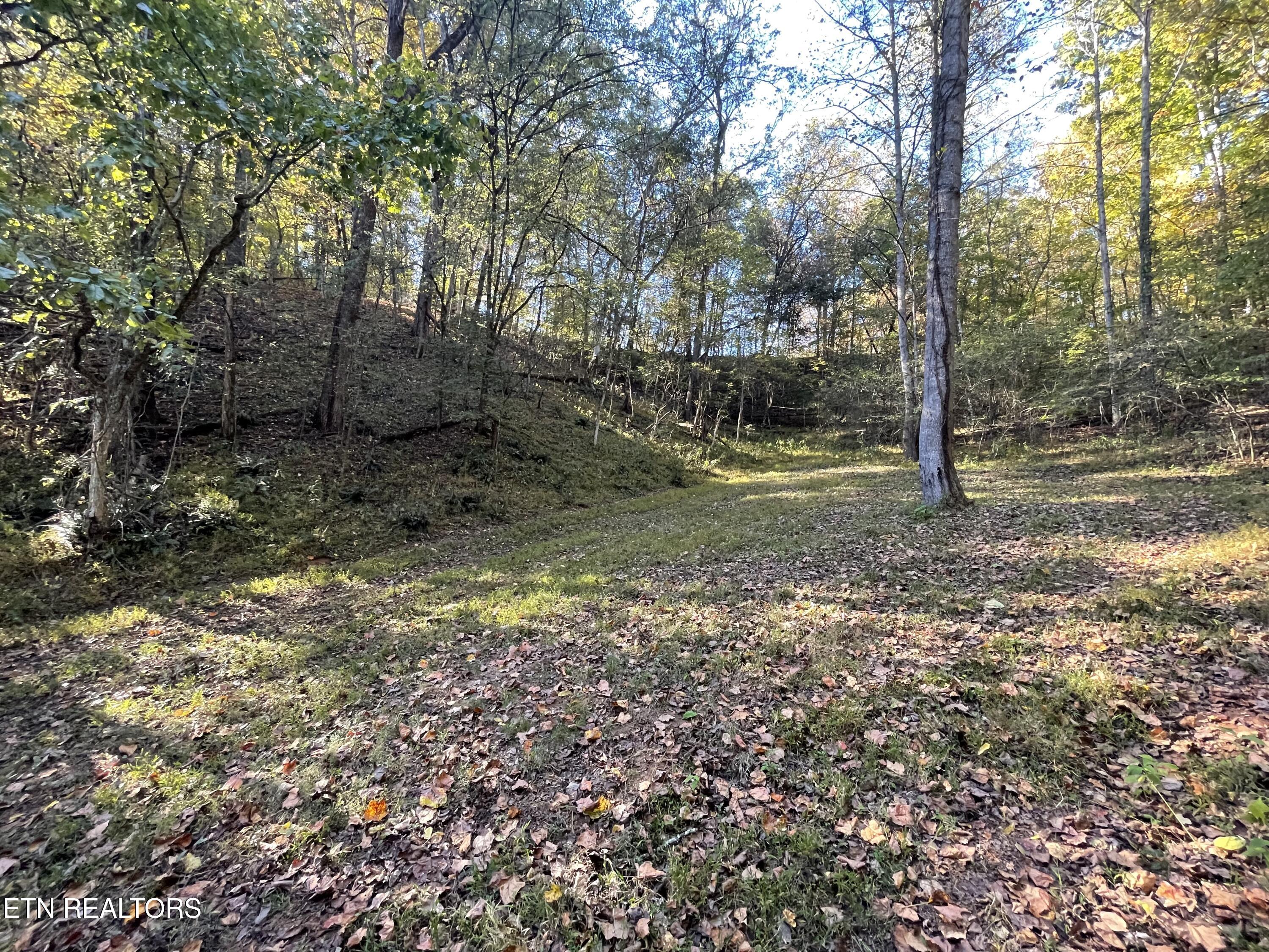 100 French Road Knoxville, TN 37920 - Photo 19 of 51 IMG_5987