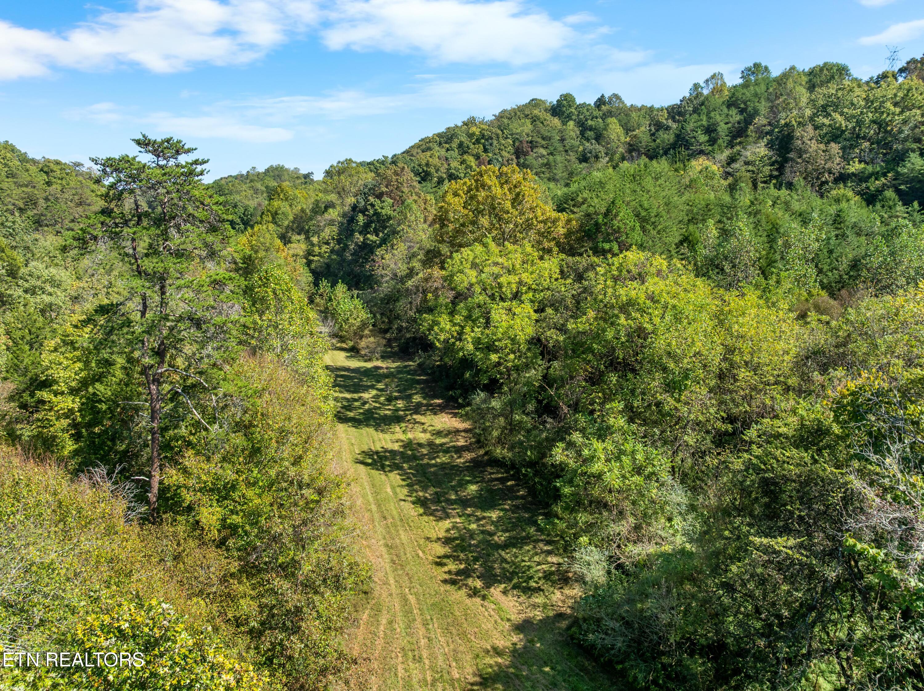 100 French Road Knoxville, TN 37920 - Photo 2 of 51 DJI_0624