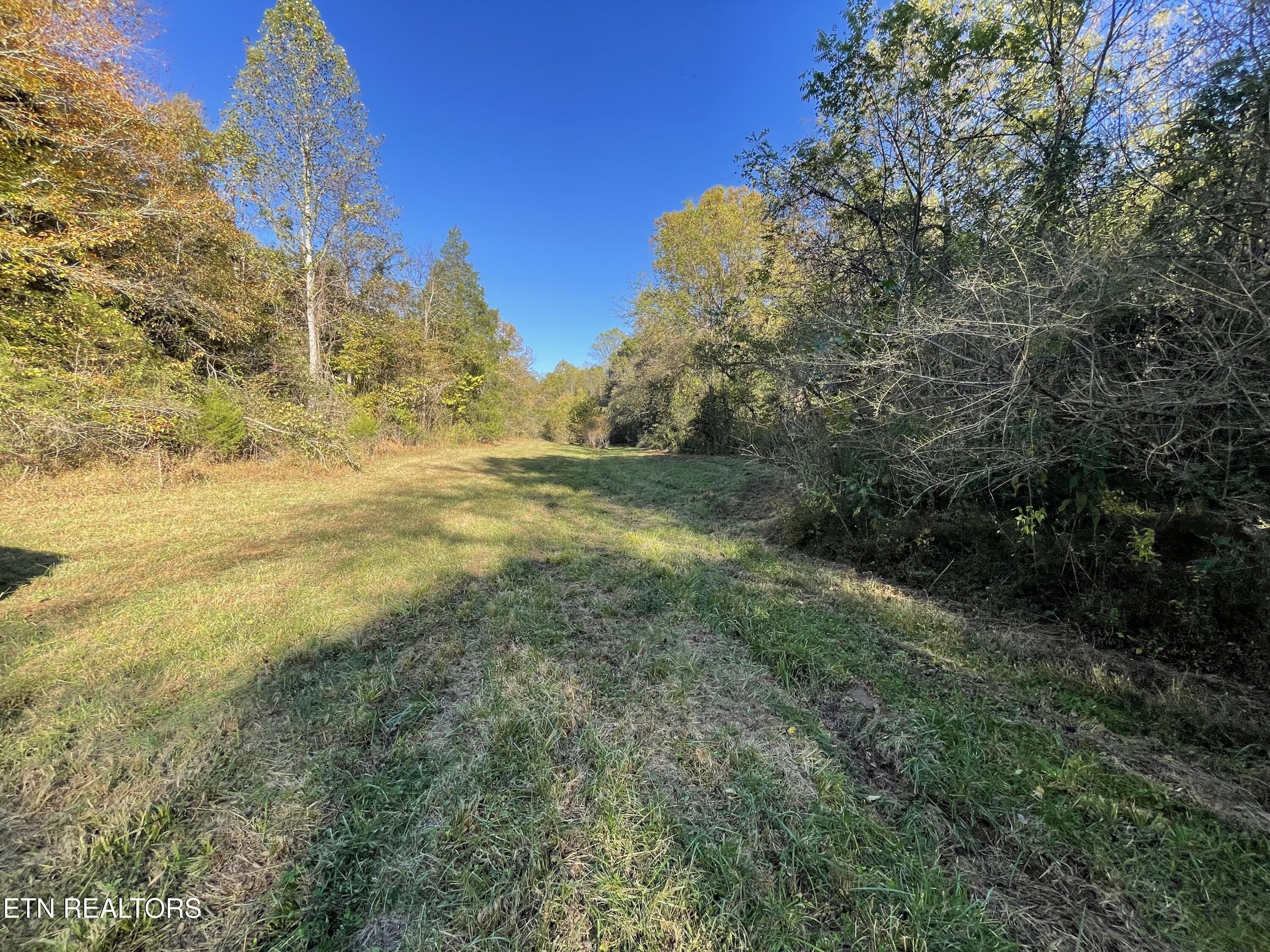 100 French Road Knoxville, TN 37920 - Photo 21 of 51 IMG_6031