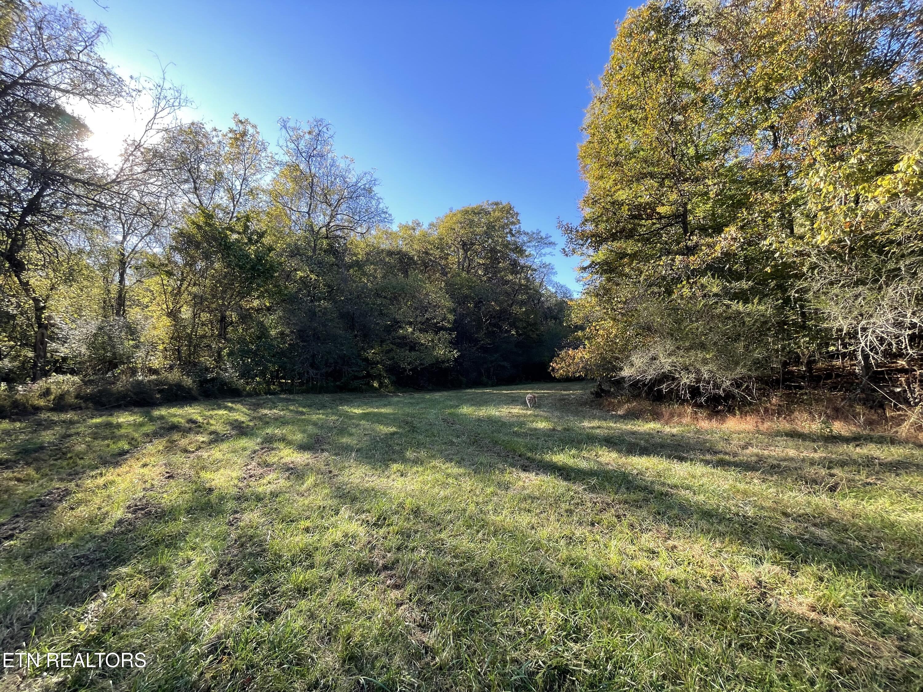 100 French Road Knoxville, TN 37920 - Photo 22 of 51 IMG_6033