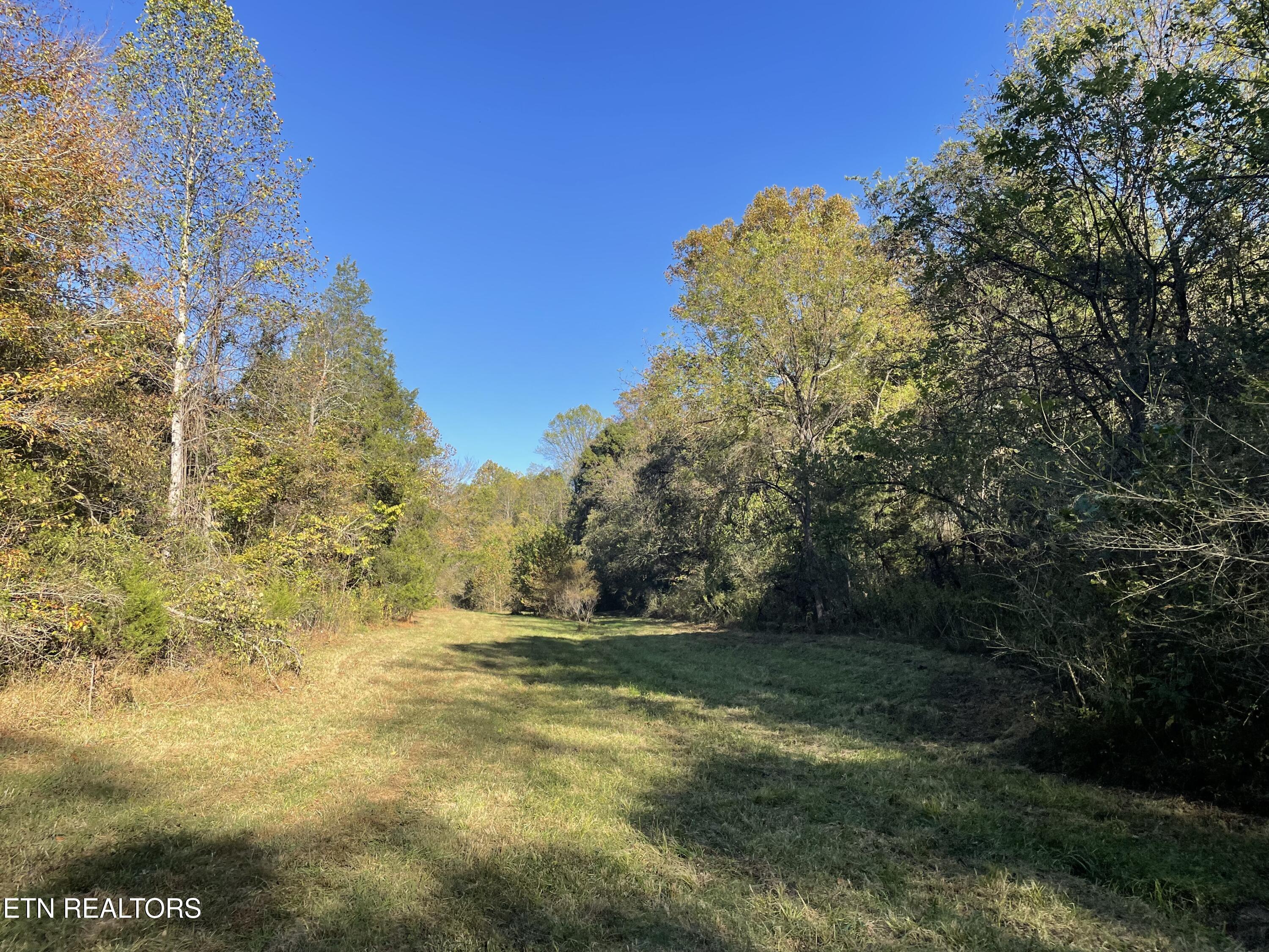 100 French Road Knoxville, TN 37920 - Photo 23 of 51 IMG_6050