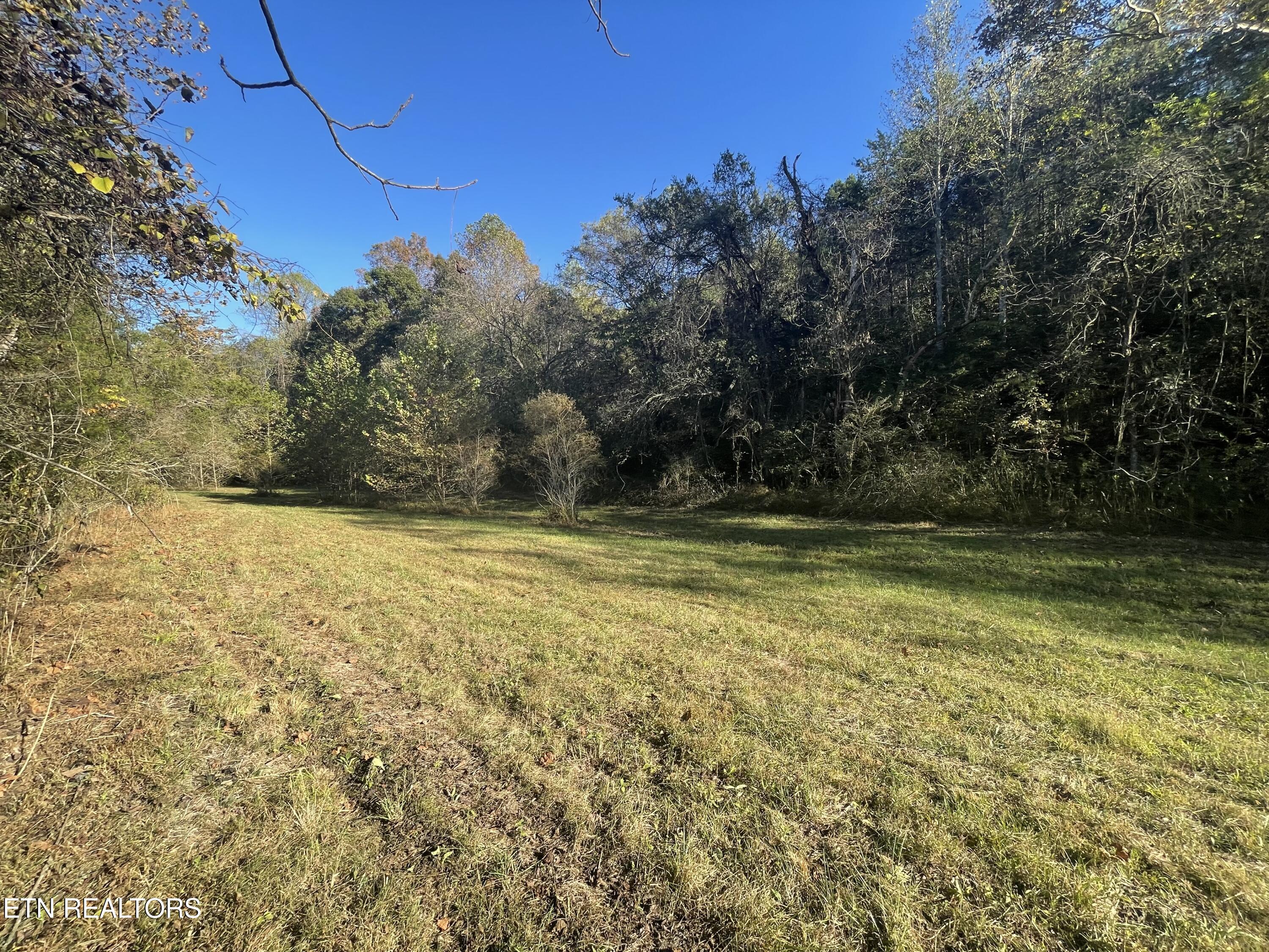 100 French Road Knoxville, TN 37920 - Photo 26 of 51 IMG_6061