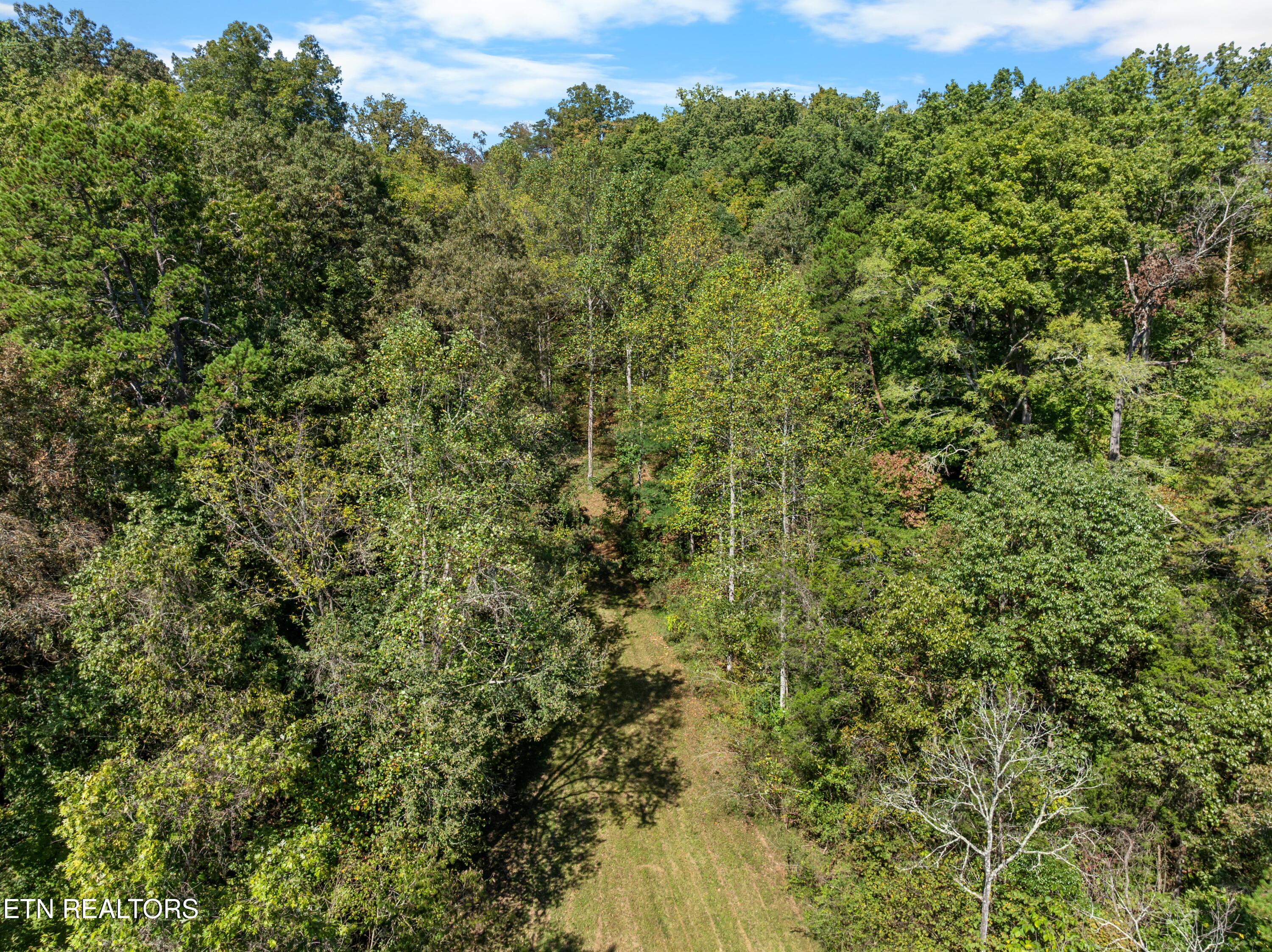 100 French Road Knoxville, TN 37920 - Photo 29 of 51 DJI_0647