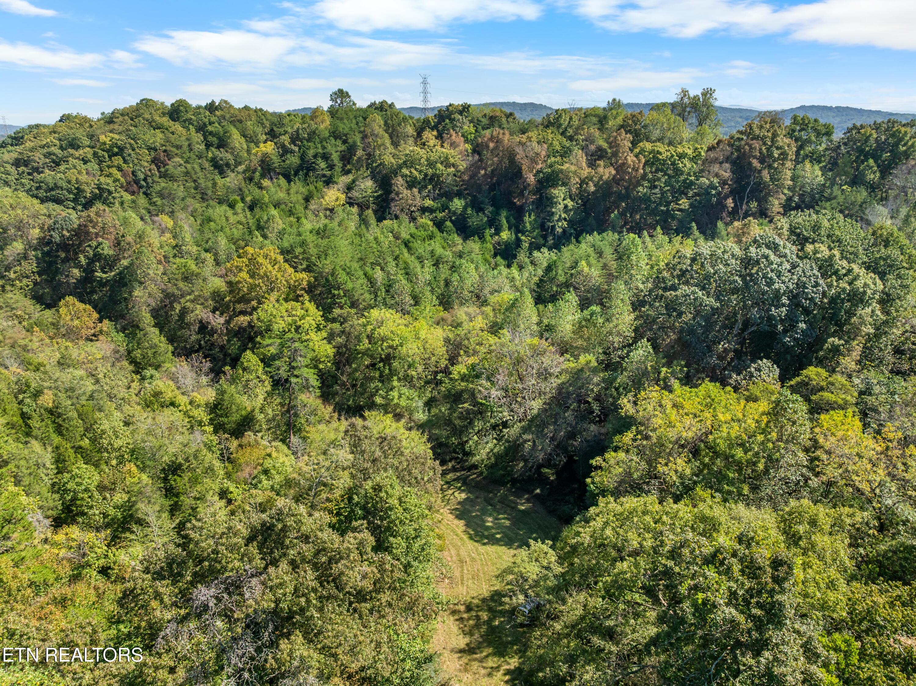 100 French Road Knoxville, TN 37920 - Photo 30 of 51 DJI_0779