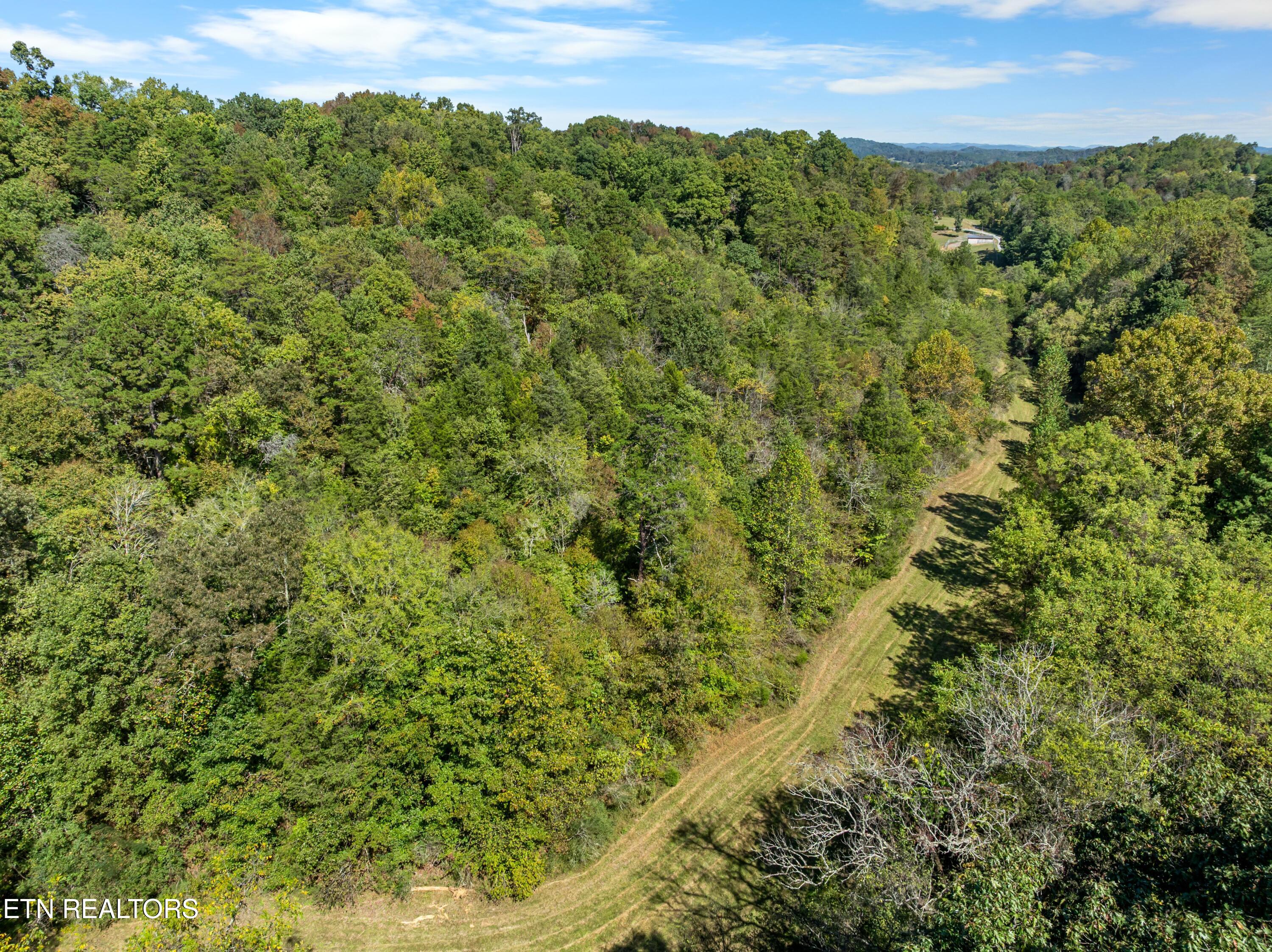 100 French Road Knoxville, TN 37920 - Photo 3 of 51 DJI_0629