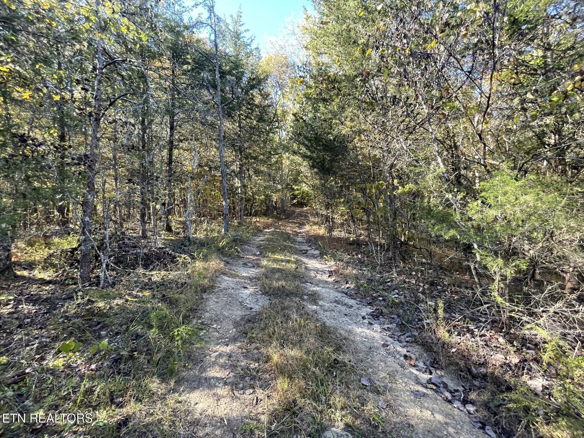 100 French Road Knoxville, TN 37920 - Photo 31 of 51 thumbnail_IMG_5978