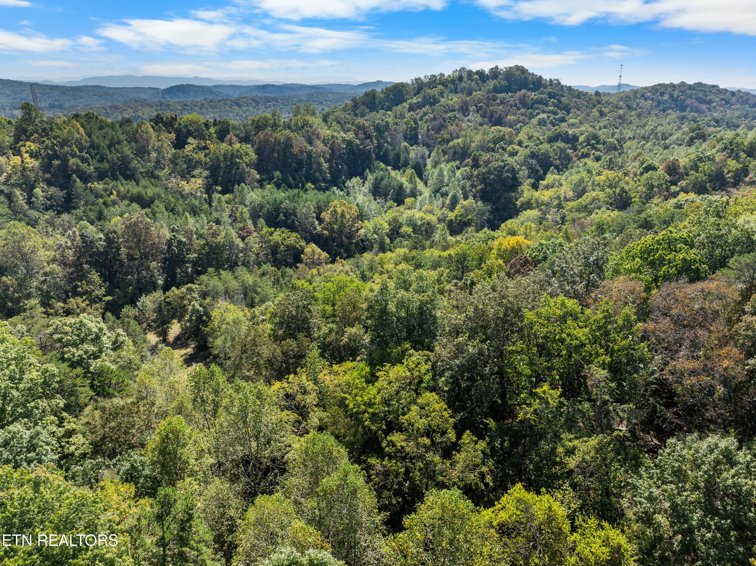 100 French Road Knoxville, TN 37920 - Photo 37 of 51 DJI_0669