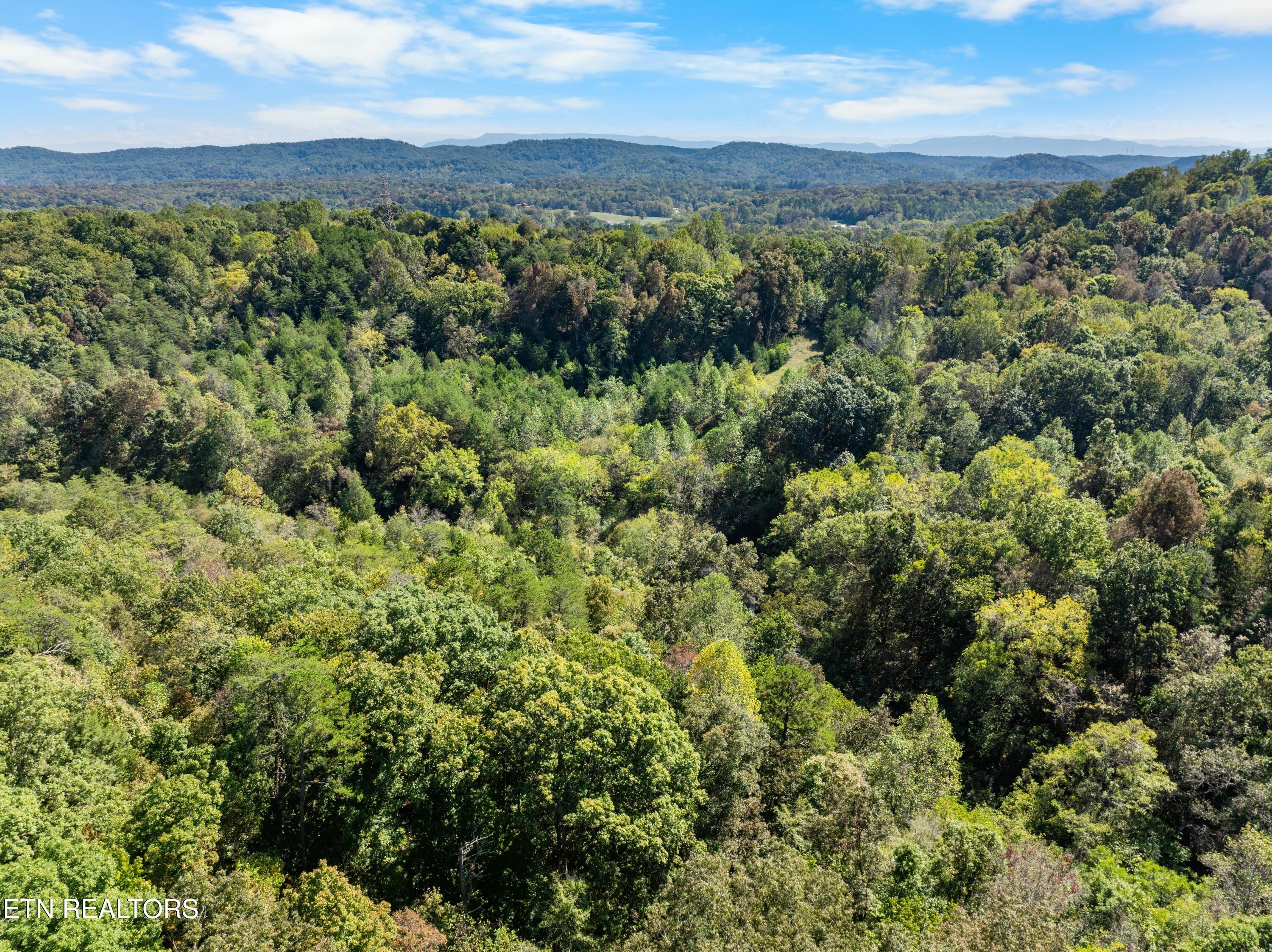 100 French Road Knoxville, TN 37920 - Photo 38 of 51 DJI_0679-2