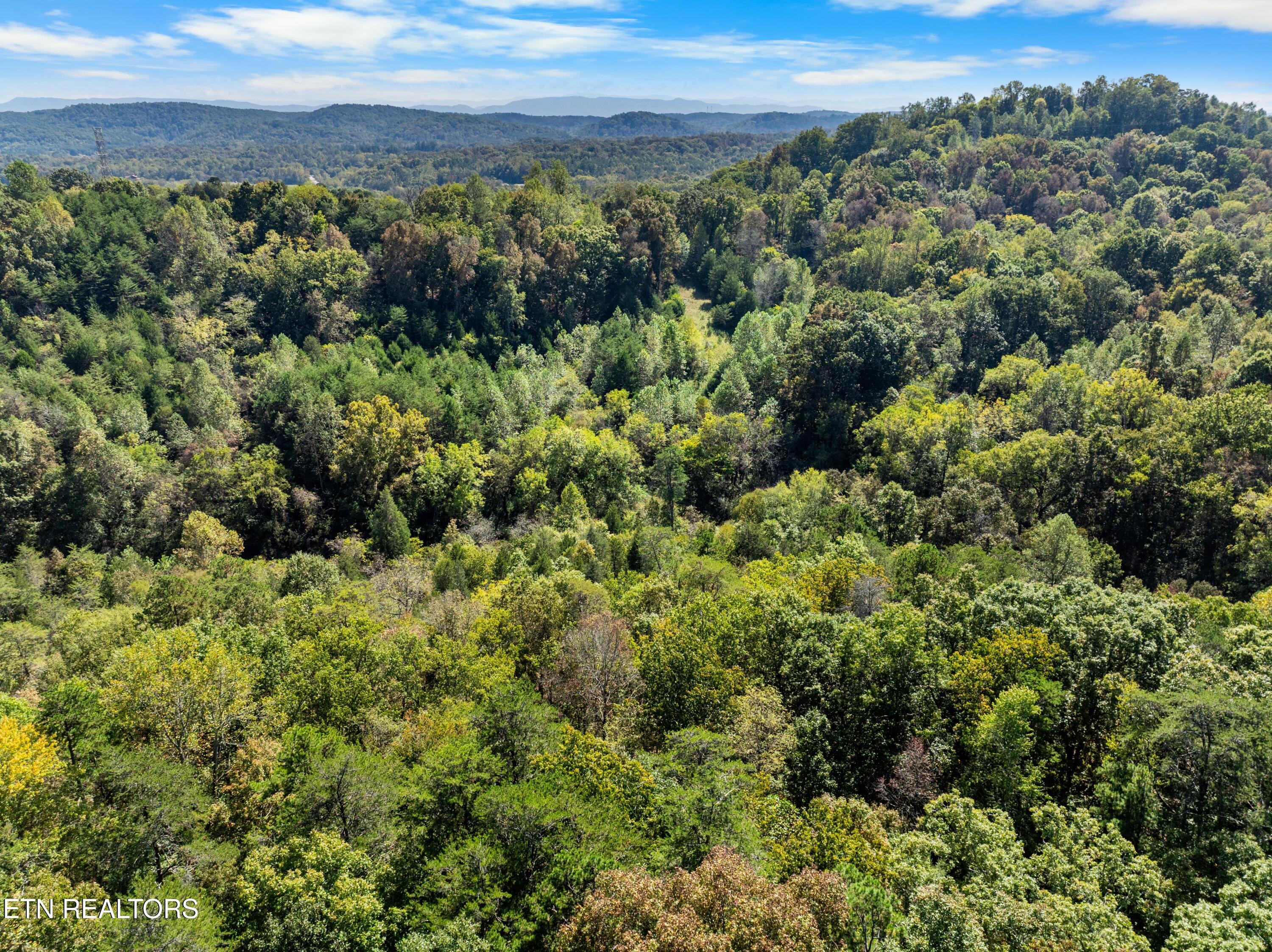 100 French Road Knoxville, TN 37920 - Photo 39 of 51 DJI_0689