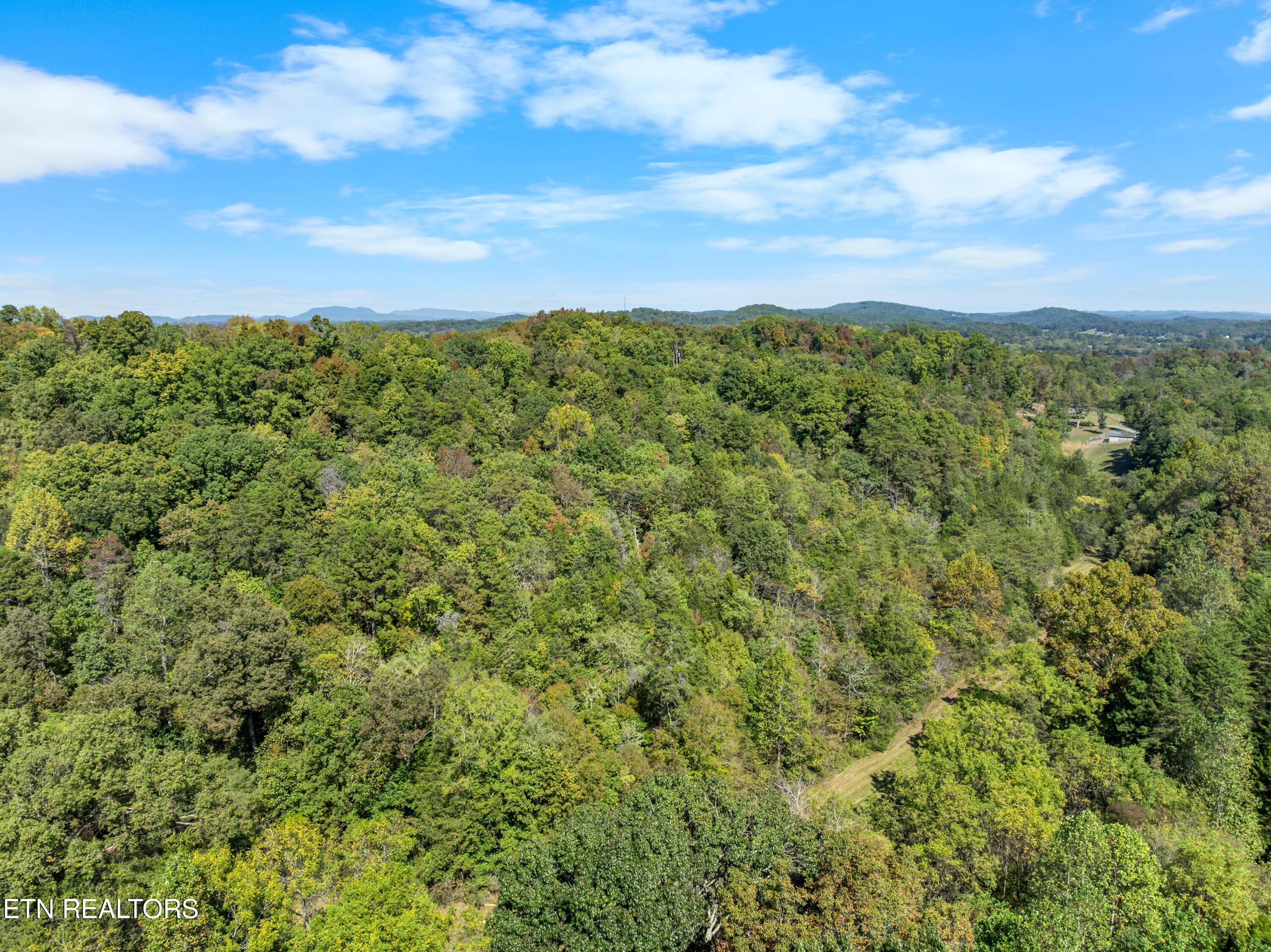 100 French Road Knoxville, TN 37920 - Photo 40 of 51 DJI_0634