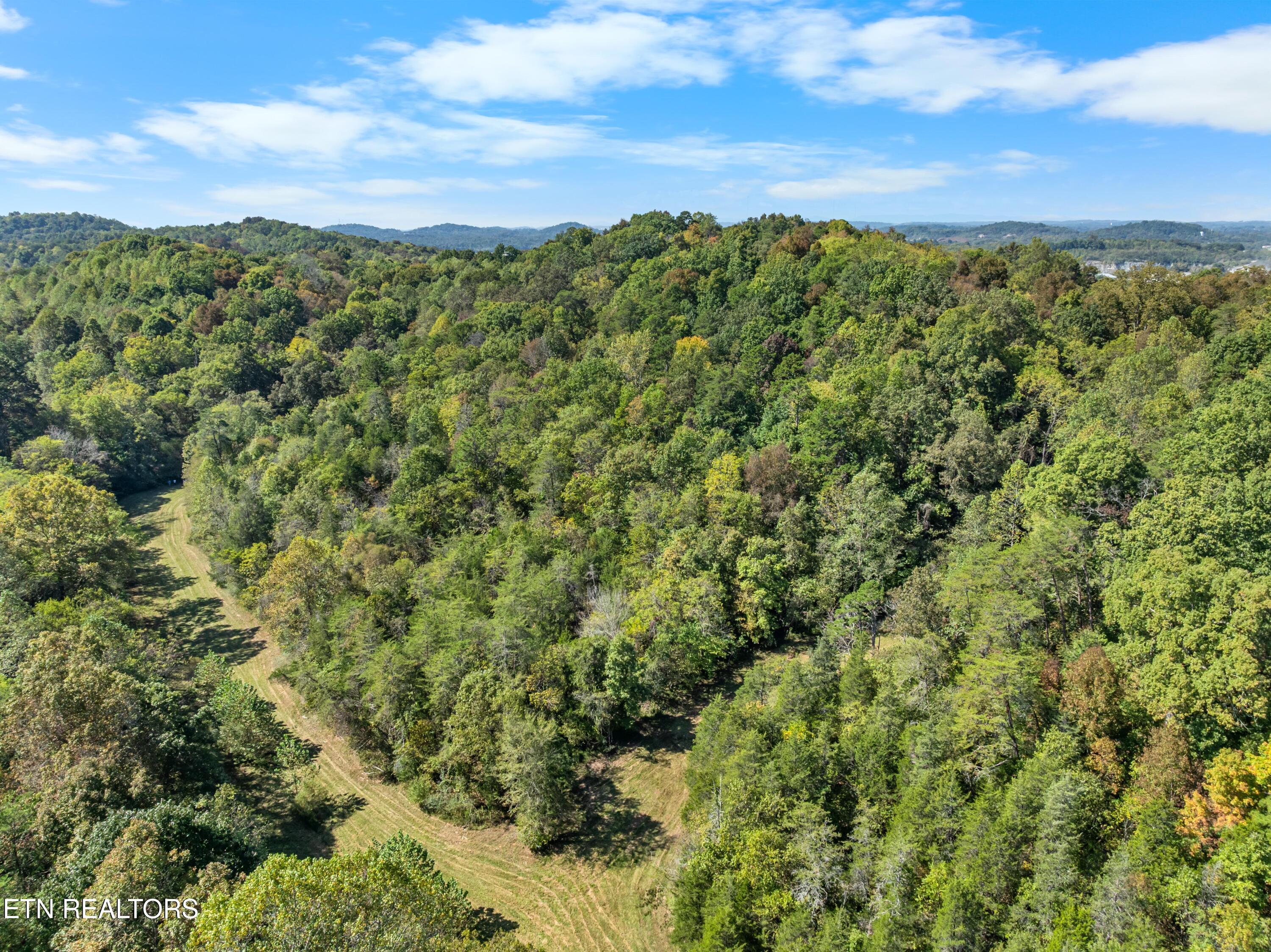 100 French Road Knoxville, TN 37920 - Photo 4 of 51 DJI_0644