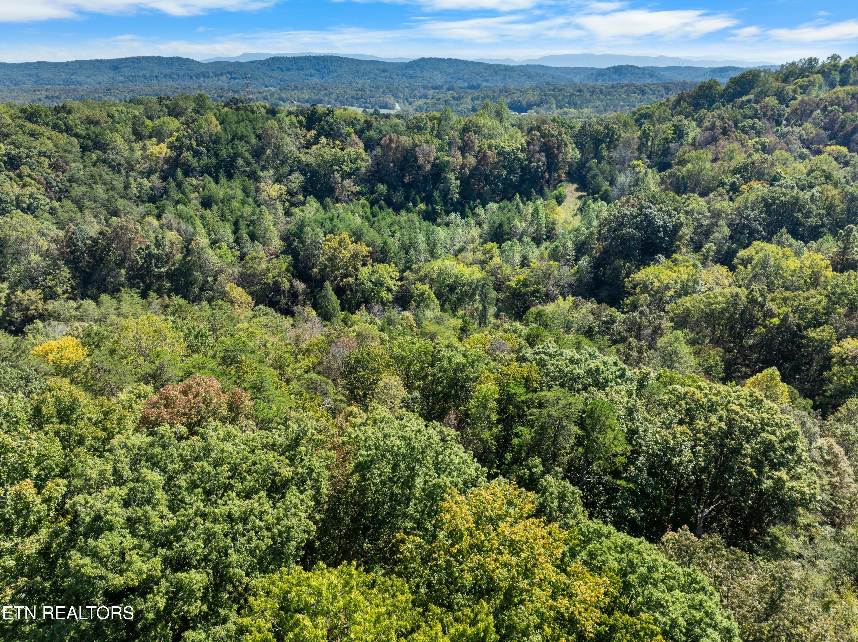 100 French Road Knoxville, TN 37920 - Photo 41 of 51 DJI_0761