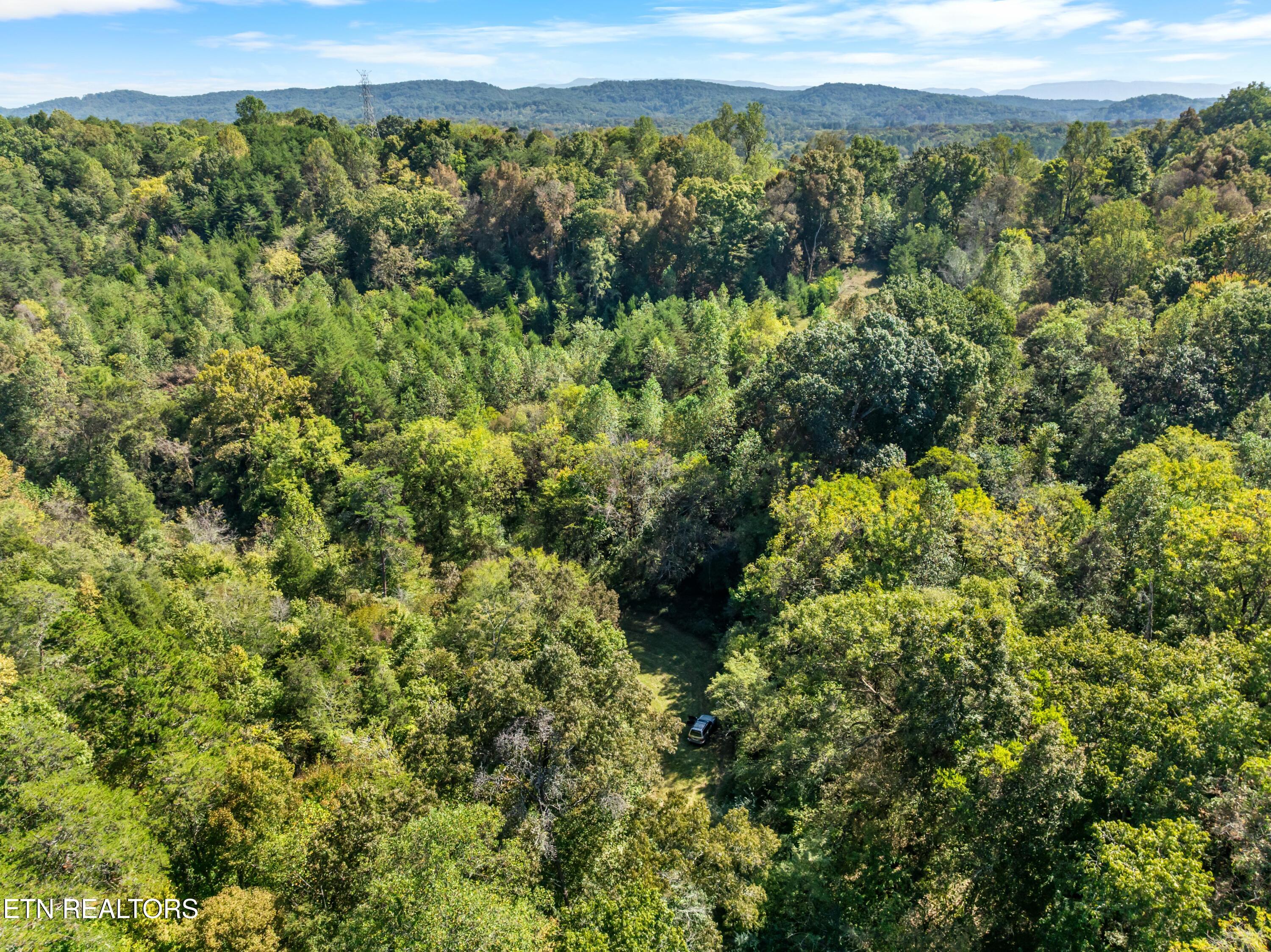 100 French Road Knoxville, TN 37920 - Photo 42 of 51 DJI_0784