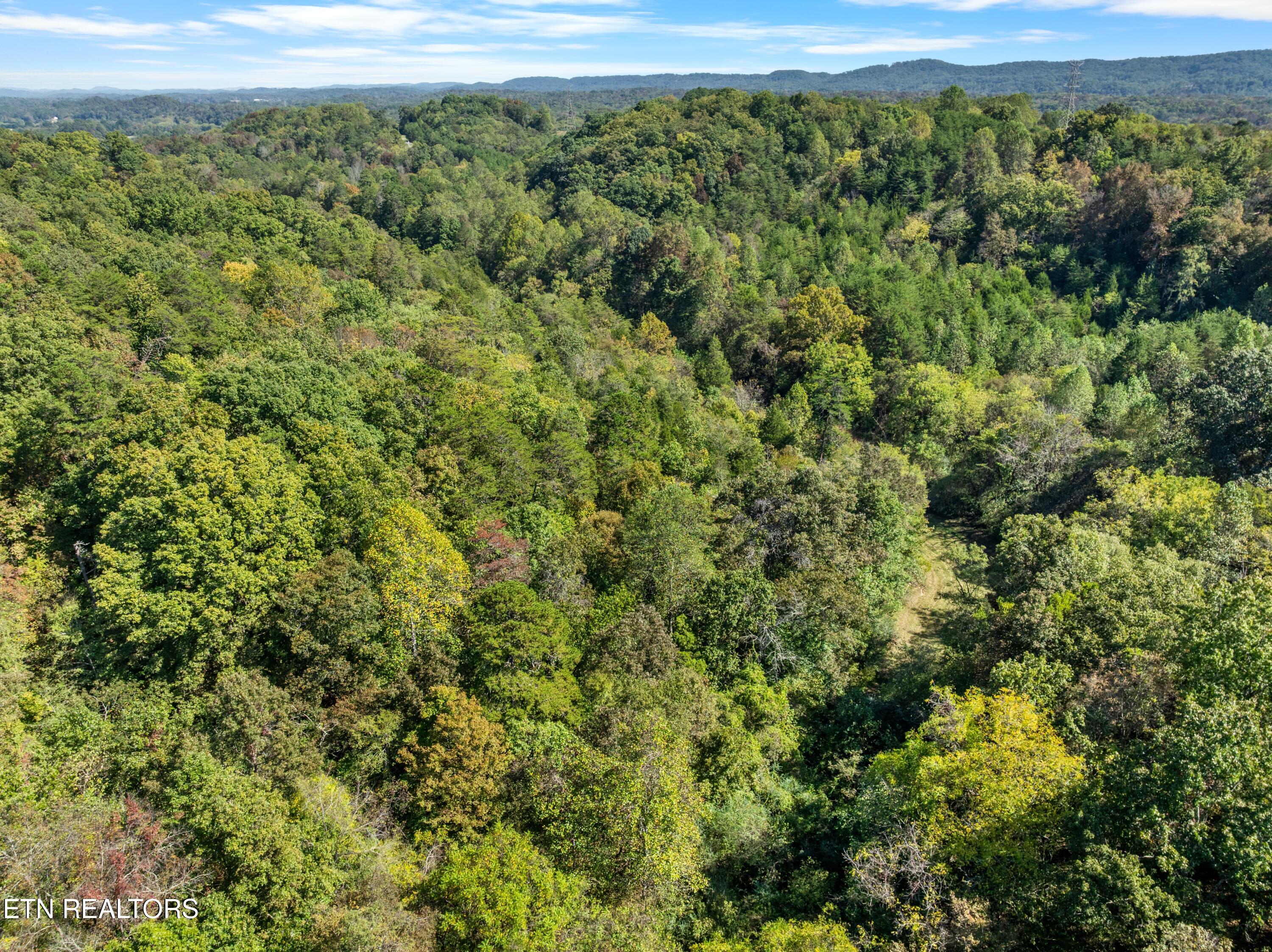 100 French Road Knoxville, TN 37920 - Photo 43 of 51 DJI_0769