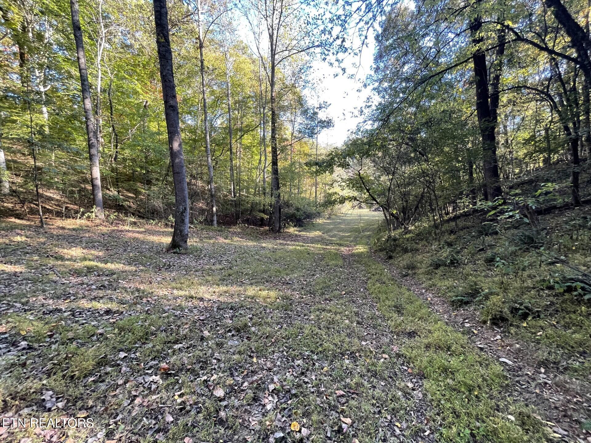 100 French Road Knoxville, TN 37920 - Photo 44 of 51 thumbnail_IMG_5998