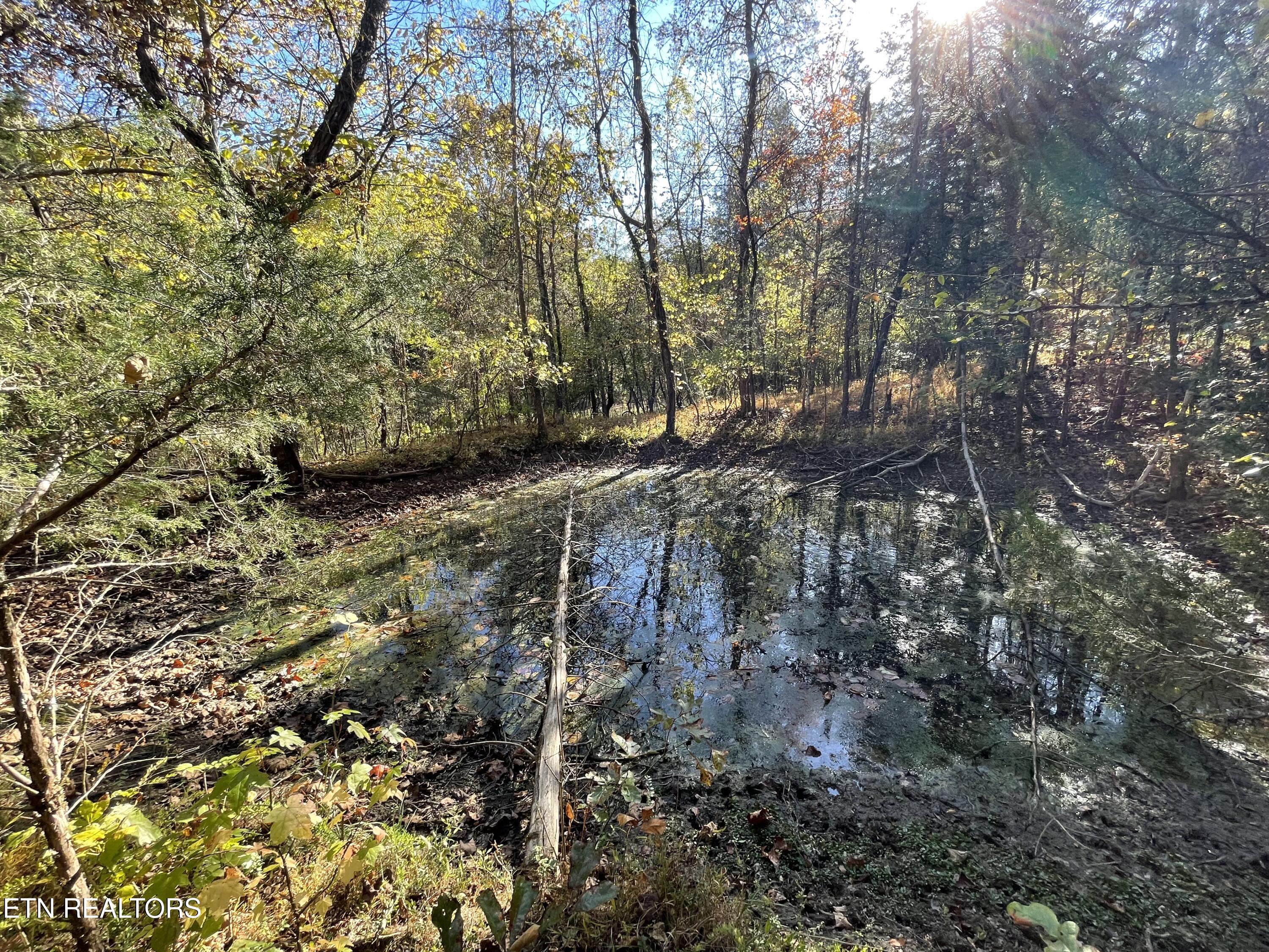 100 French Road Knoxville, TN 37920 - Photo 45 of 51 IMG_5983