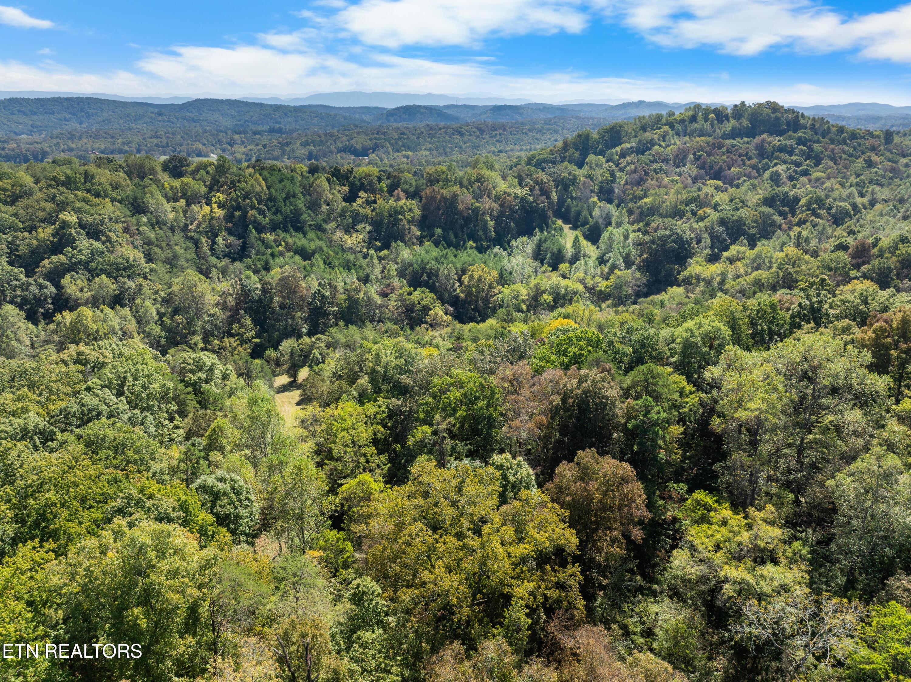 100 French Road Knoxville, TN 37920 - Photo 48 of 51 DJI_0664