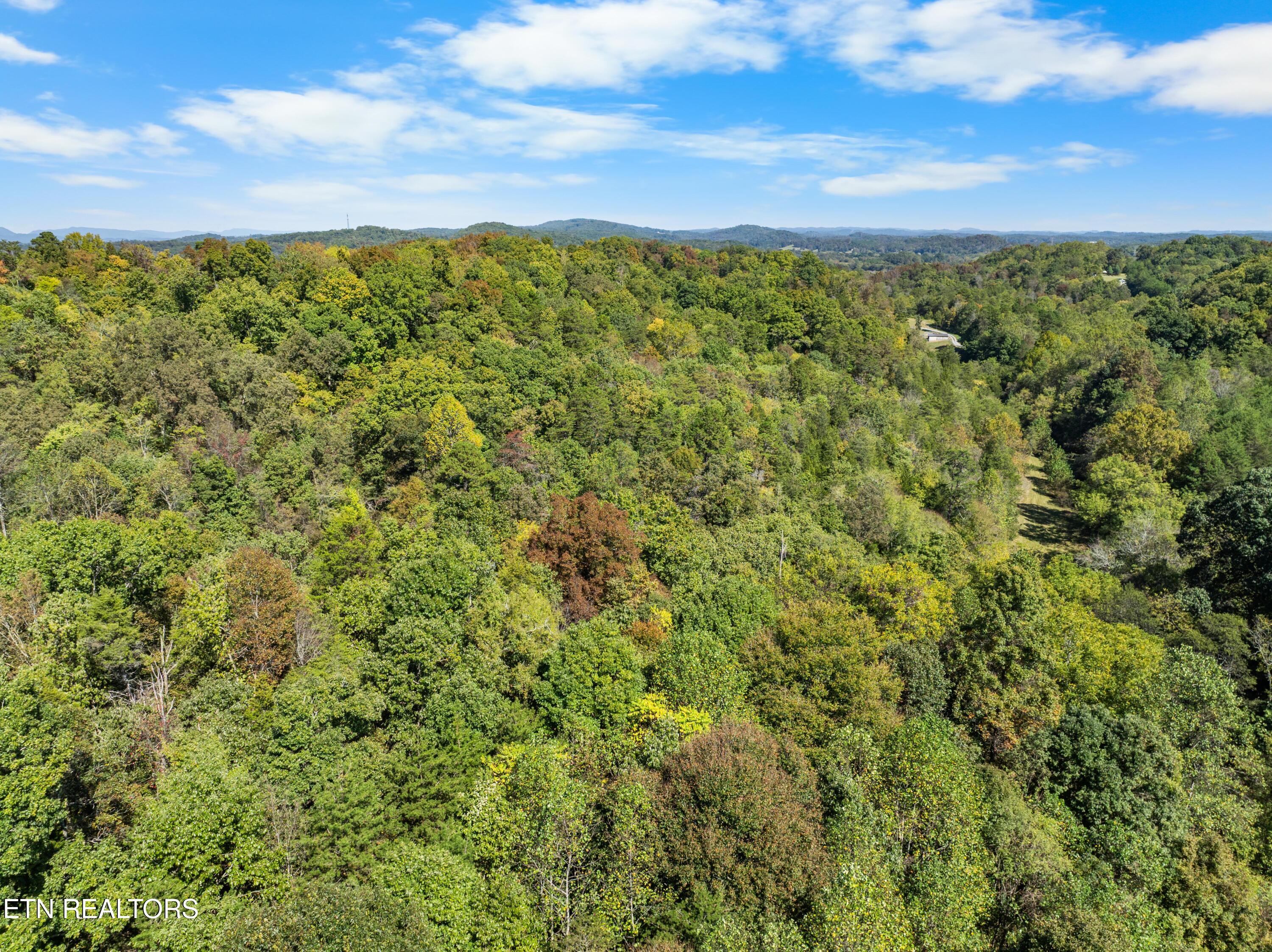 100 French Road Knoxville, TN 37920 - Photo 49 of 51 DJI_0684-2