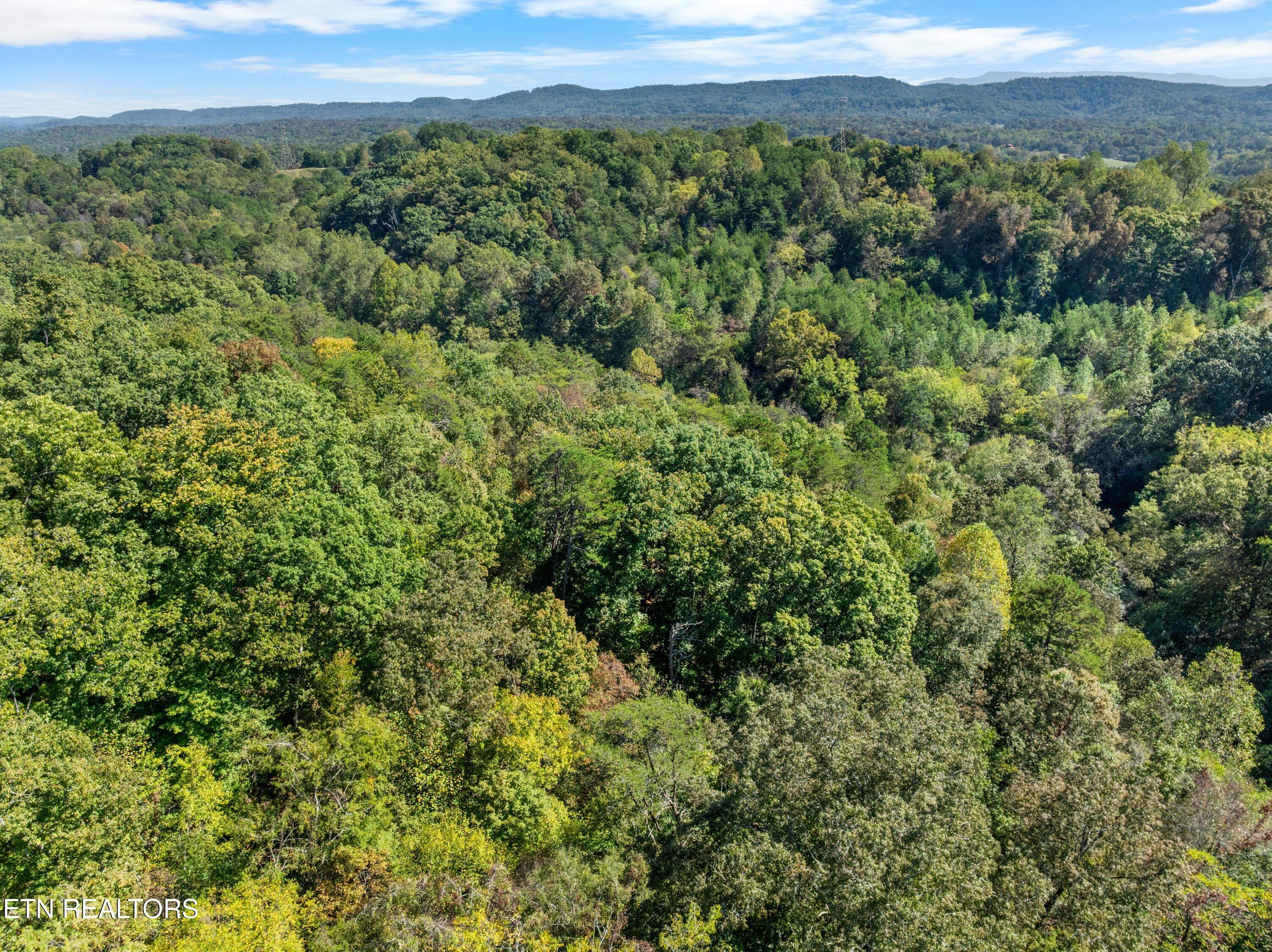 100 French Road Knoxville, TN 37920 - Photo 50 of 51 DJI_0764