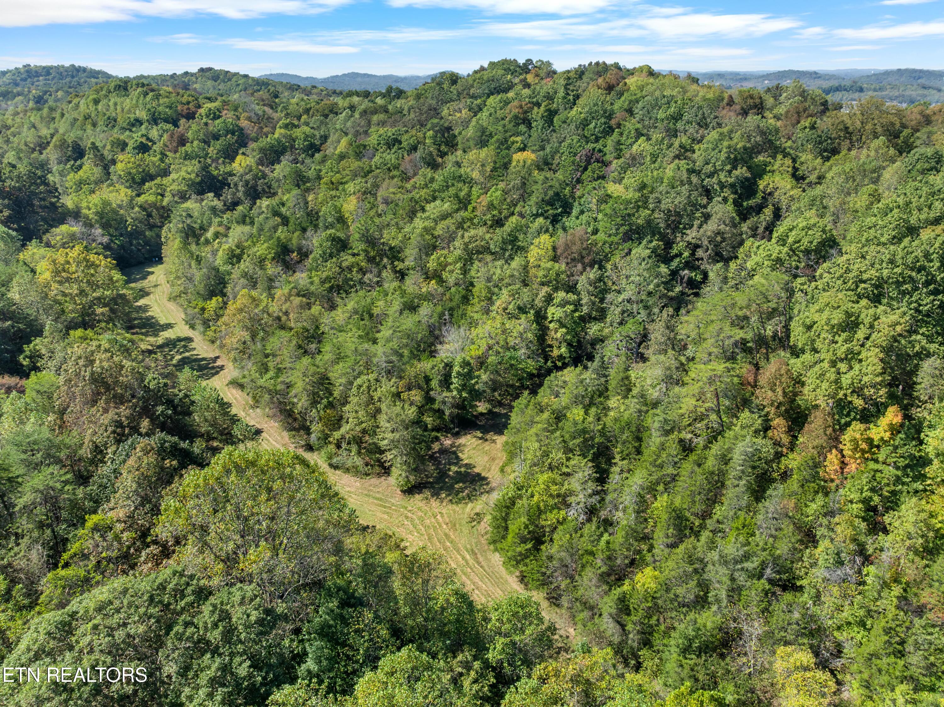 100 French Road Knoxville, TN 37920 - Photo 5 of 51 DJI_0699