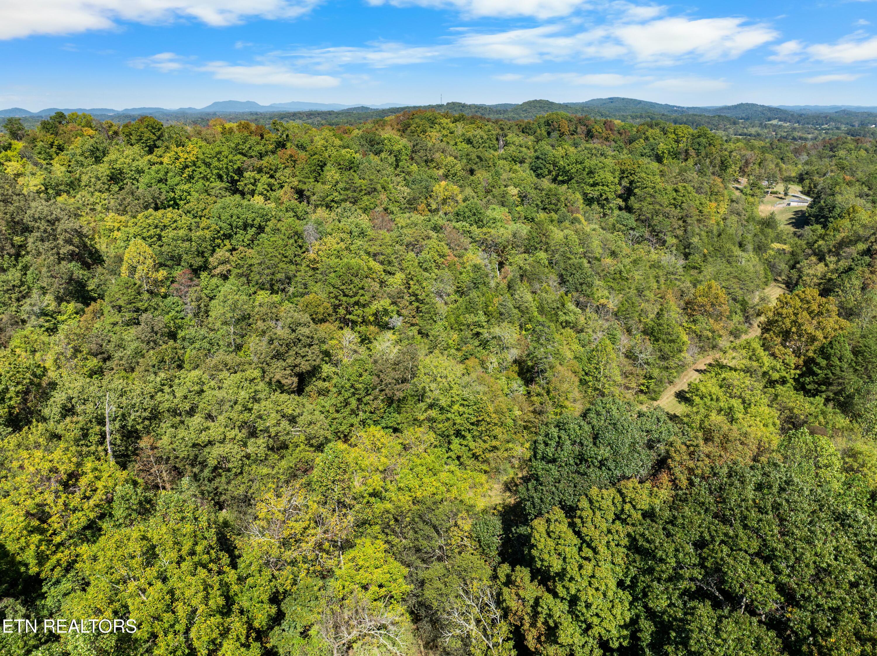 100 French Road Knoxville, TN 37920 - Photo 51 of 51 DJI_0791