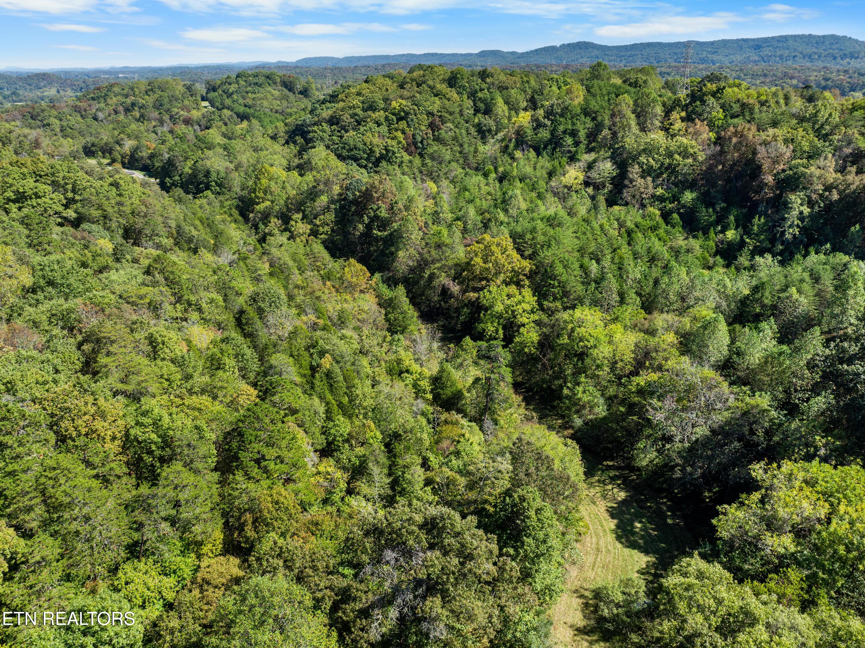 100 French Road Knoxville, TN 37920 - Photo 6 of 51 DJI_0694