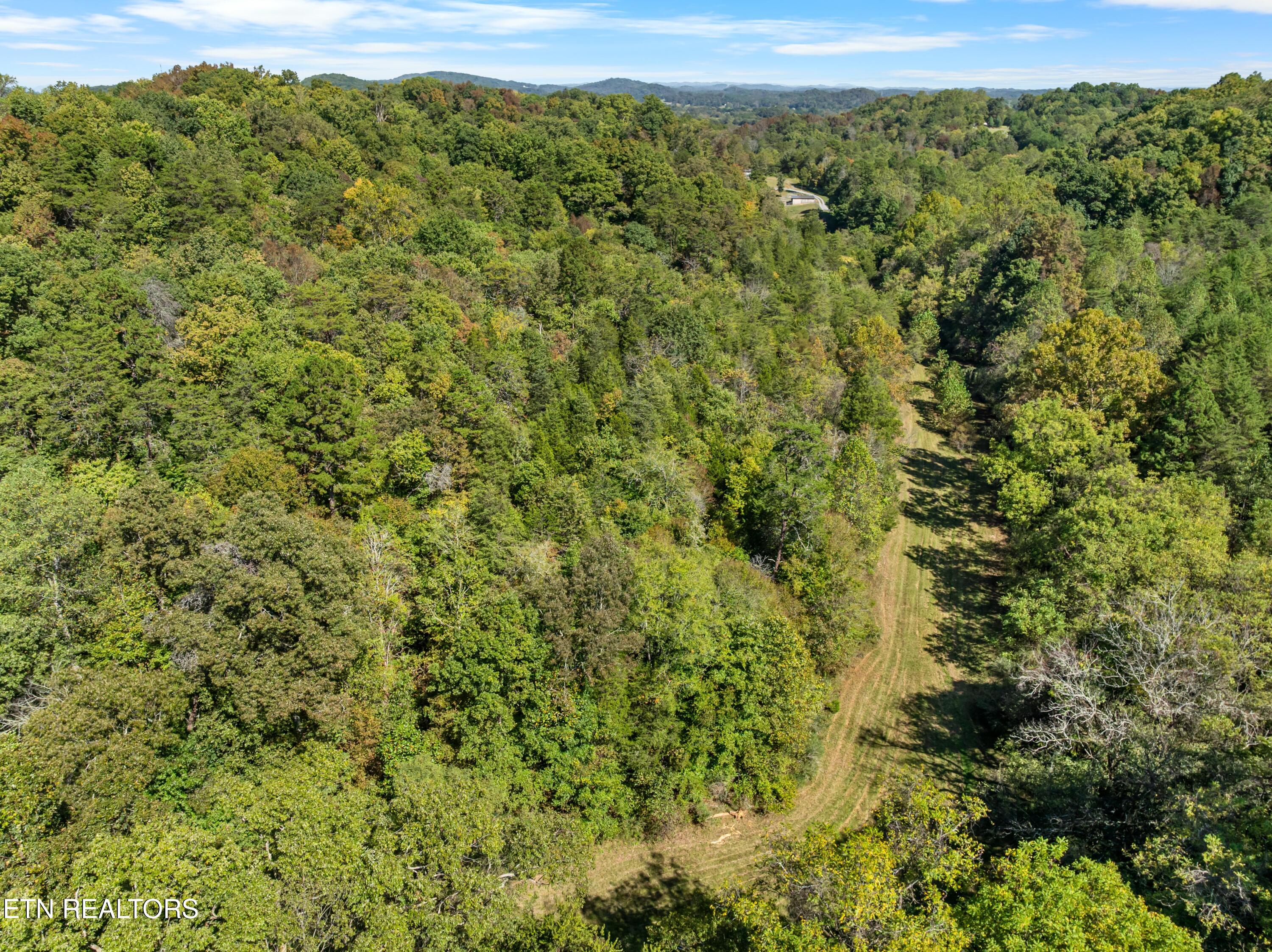 100 French Road Knoxville, TN 37920 - Photo 7 of 51 DJI_0774