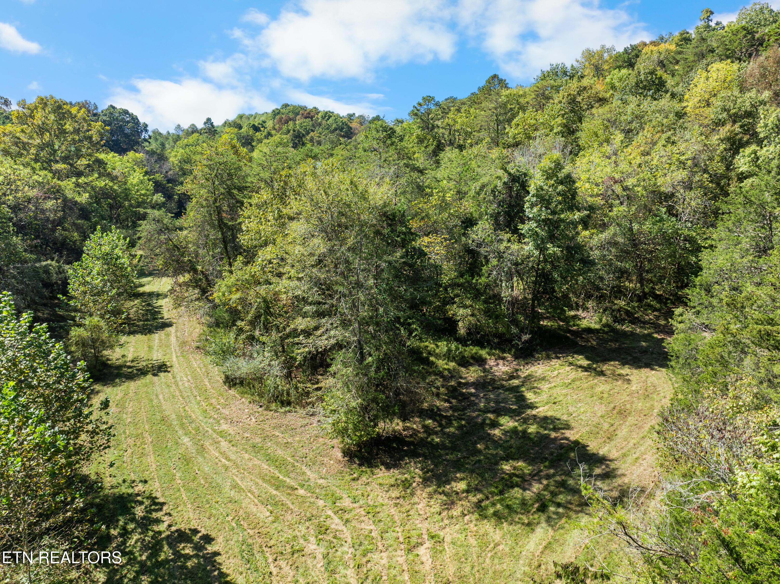 100 French Road Knoxville, TN 37920 - Photo 8 of 51 DJI_0751