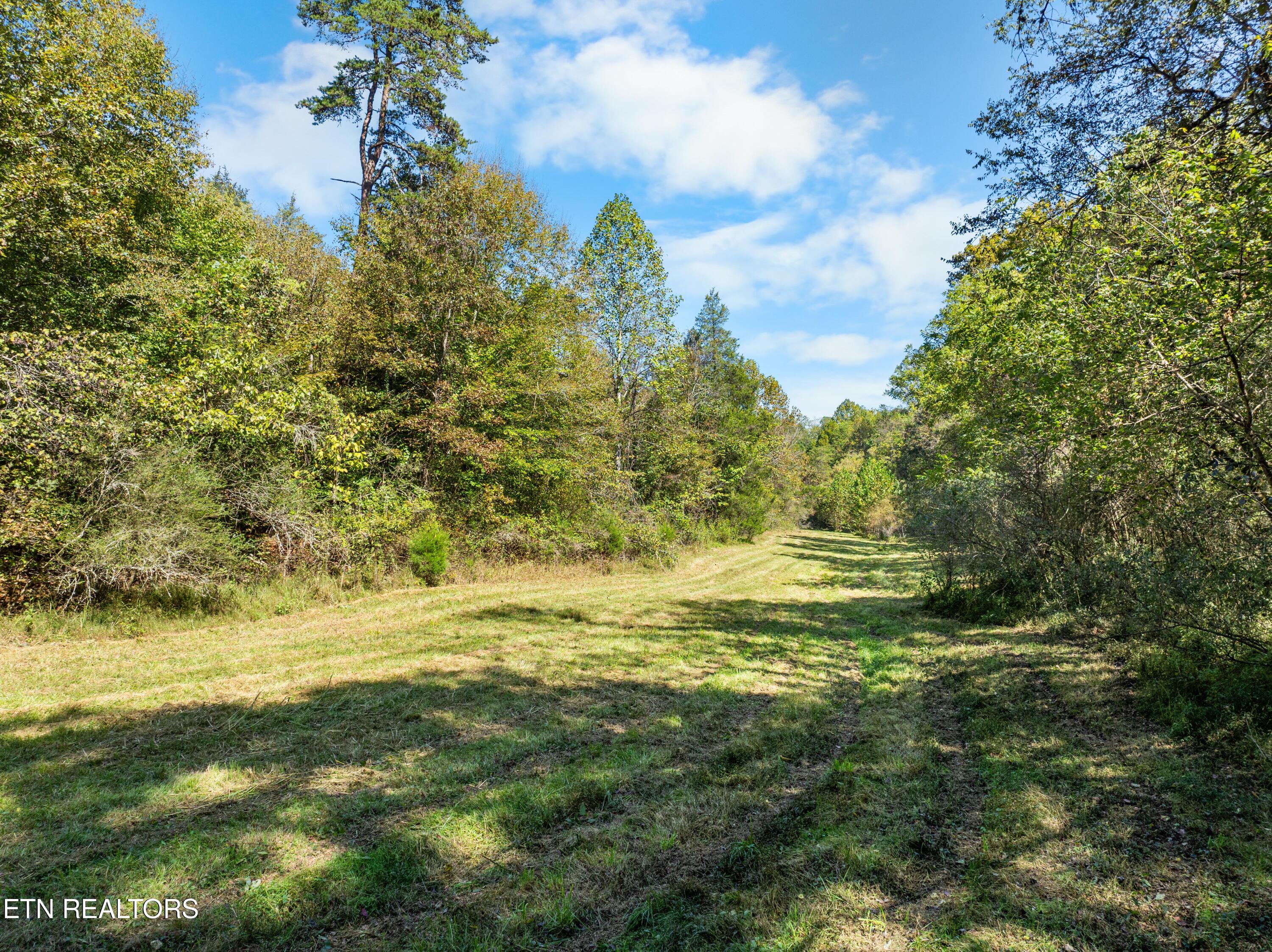 100 French Road Knoxville, TN 37920 - Photo 10 of 51 DJI_0806