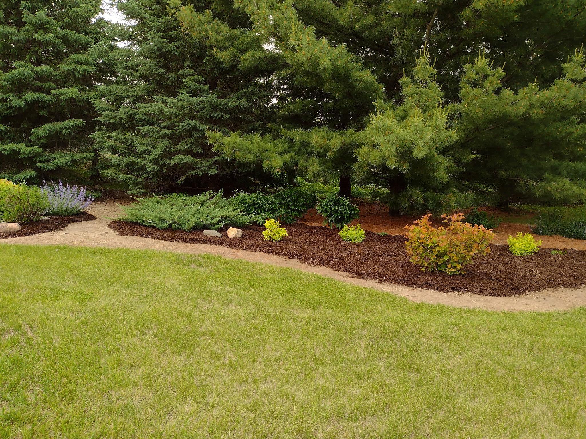 3680 Arlington Lane Southeast Rochester, MN 55904 - Photo 60 of 73