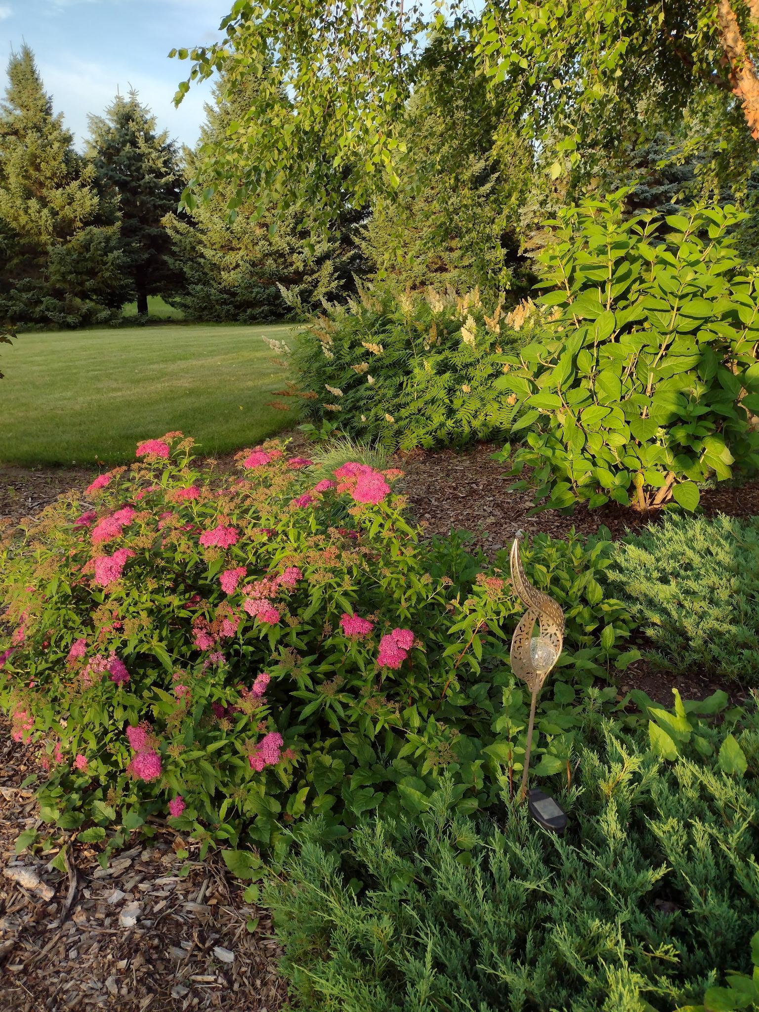 3680 Arlington Lane Southeast Rochester, MN 55904 - Photo 66 of 73
