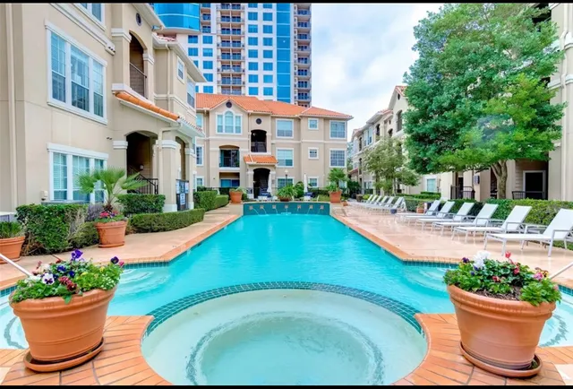 a view of a yard with plants and large tree